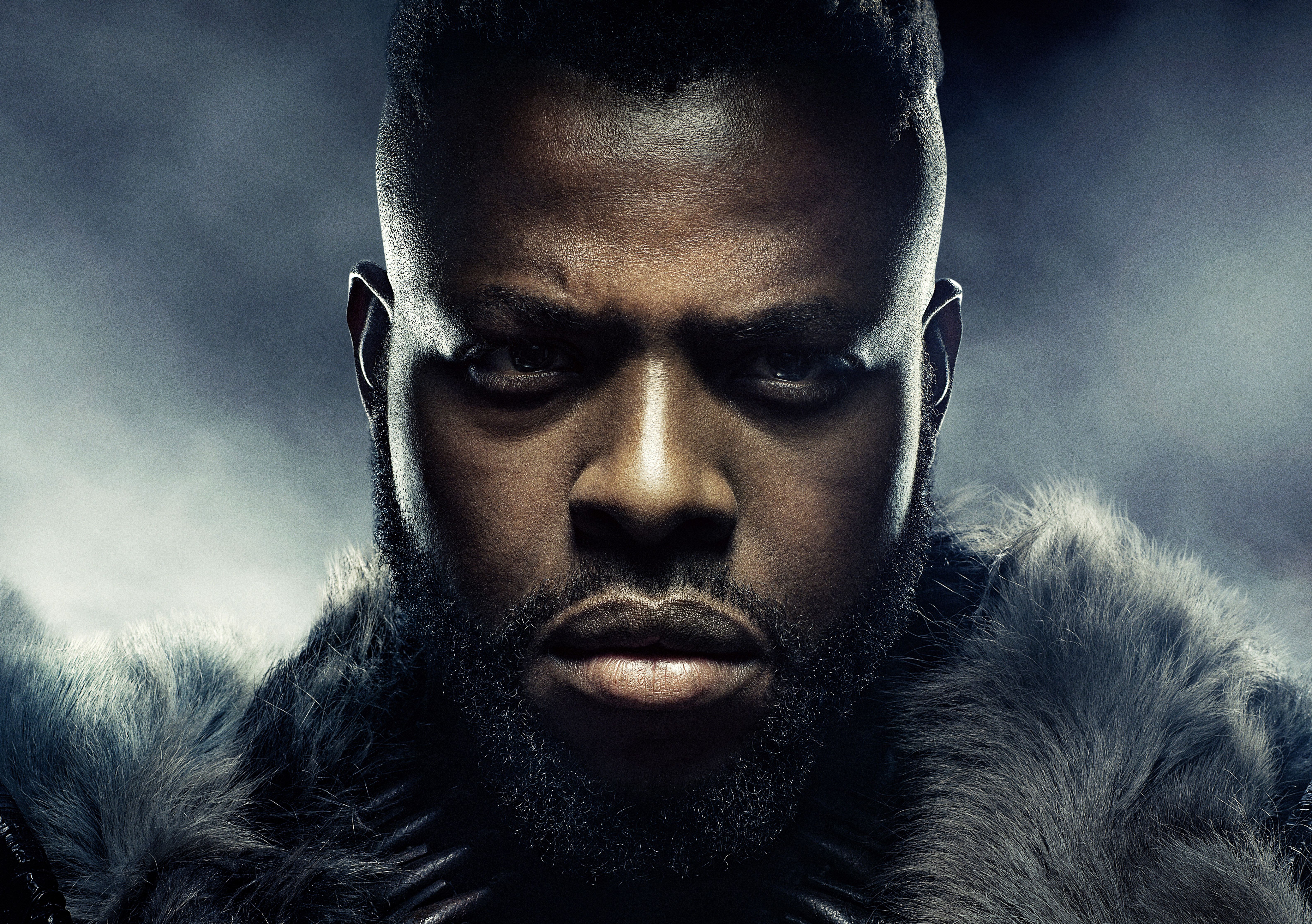 Black Panther Winston Duke As Mbaku 5k, HD Movies, 4k Wallpaper