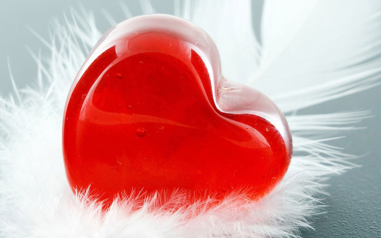 Love And Heart Wallpaper Free Download HD Latest Beautiful