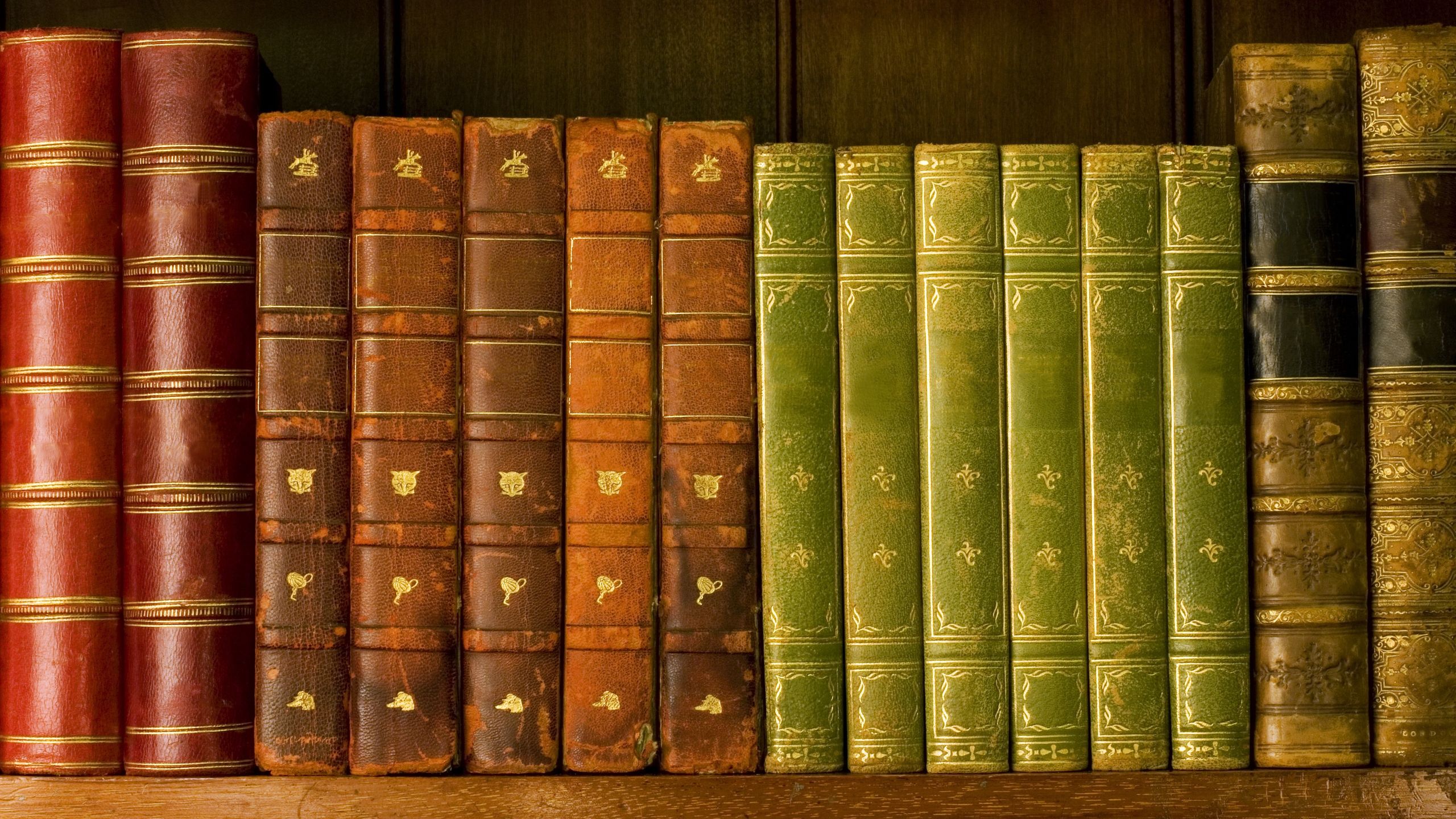 Download wallpaper 2560x1440 shelf, library, roots, books