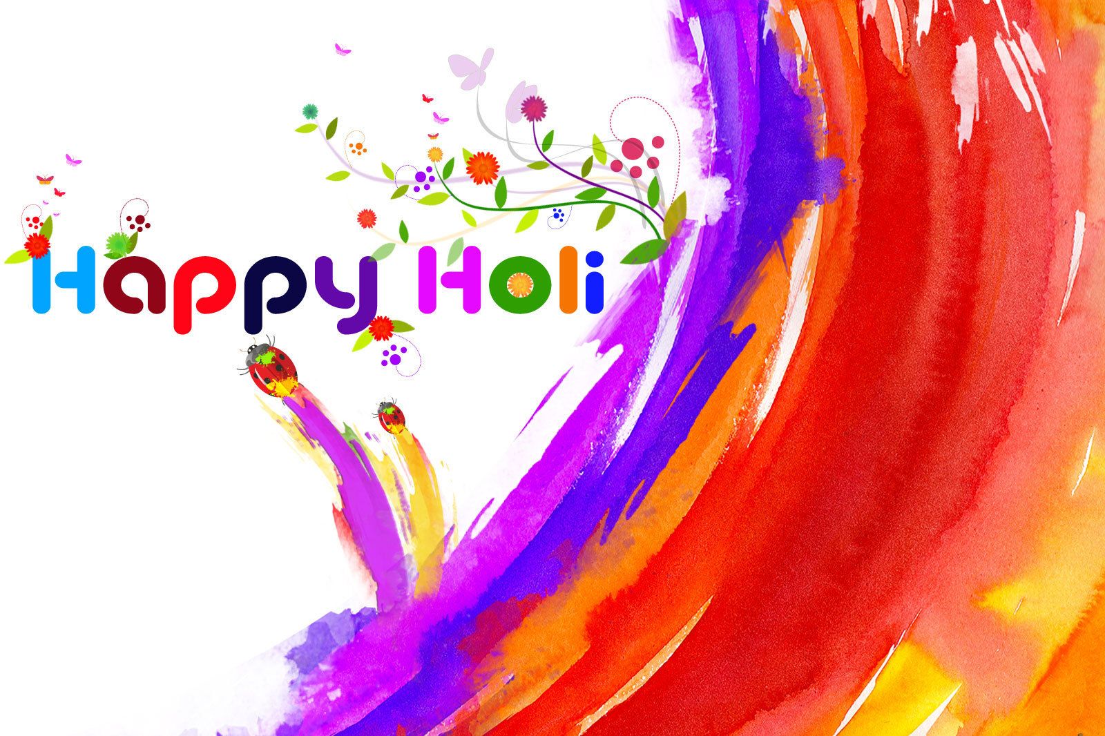 Holi Wallpaper HD Background Free Download