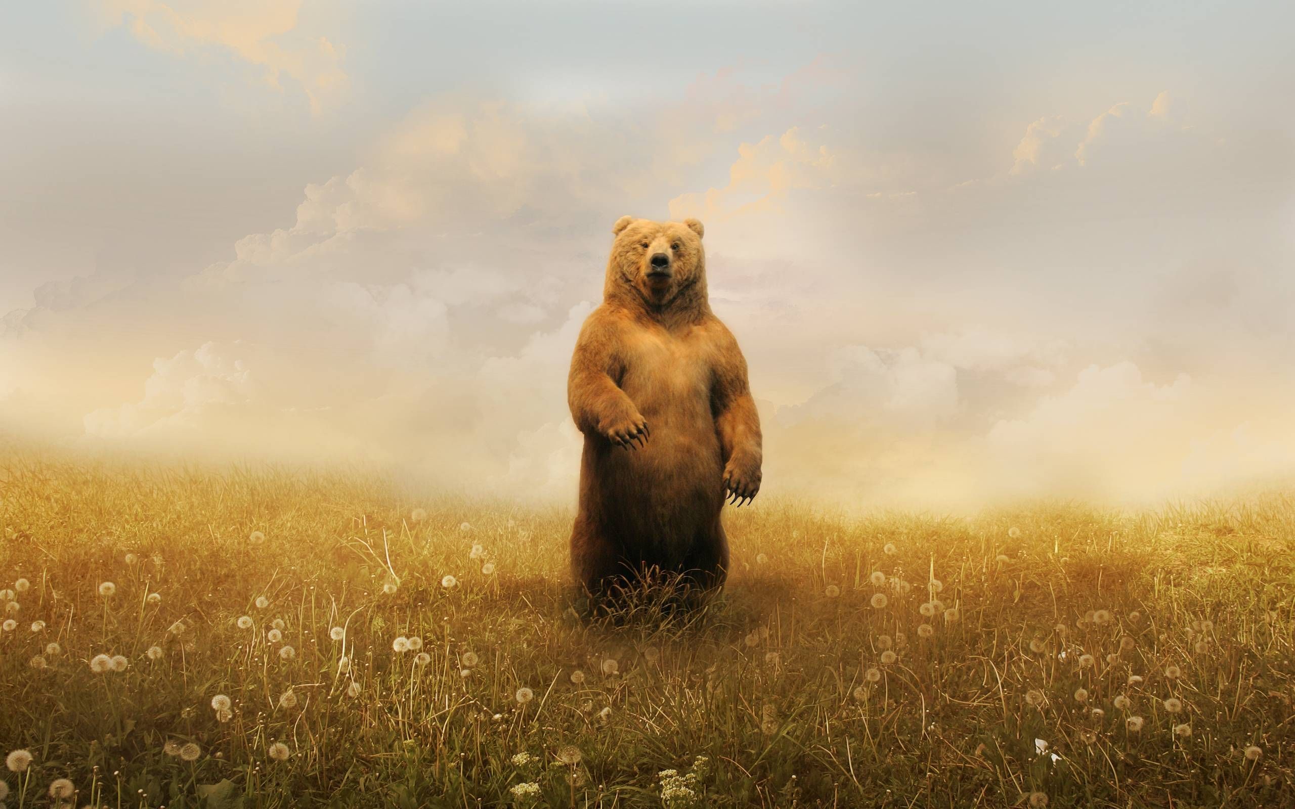 Bear Art Wallpaper Desktop Background. Animali, Orsi, Sfondi