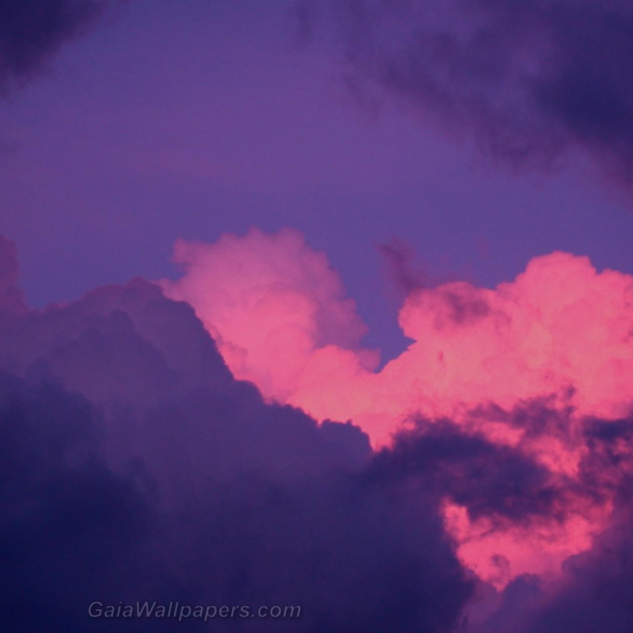 Pink and purple cloud wallpaper 2048x2048 Desktop