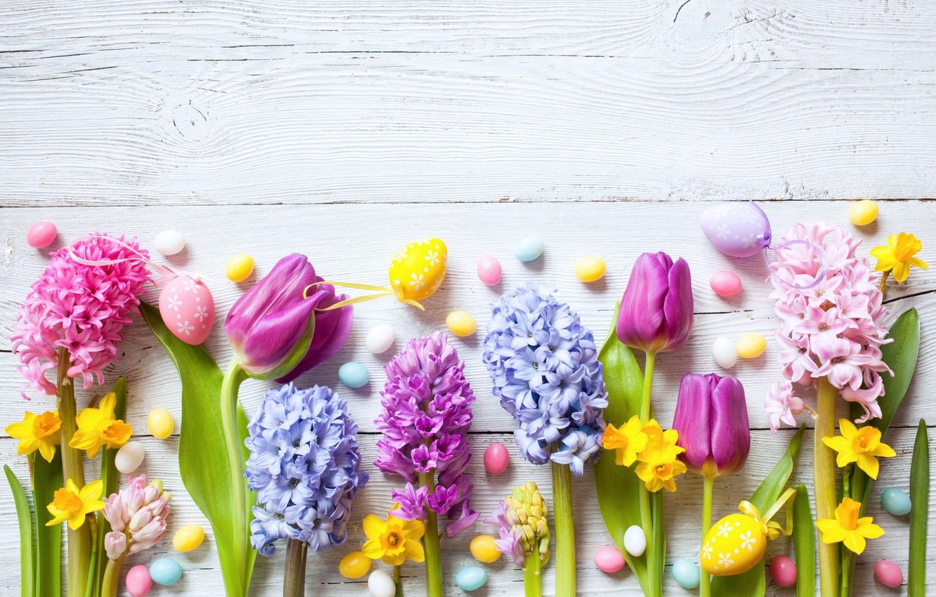 Wallpaper flowers, holiday, Easter, tulips, wood, yellow, flowers