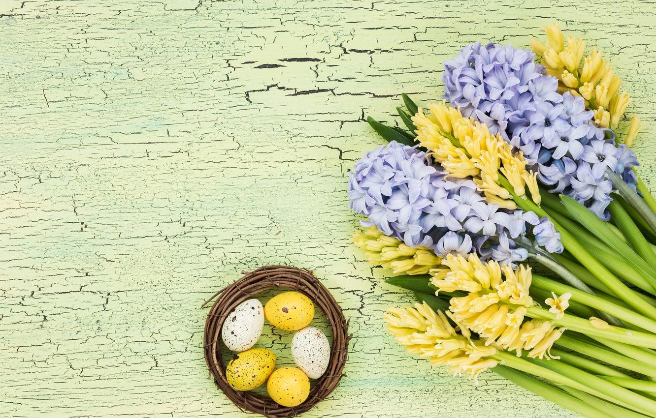 Wallpaper flowers, bouquet, yellow, yellow, flowers, eggs, easter