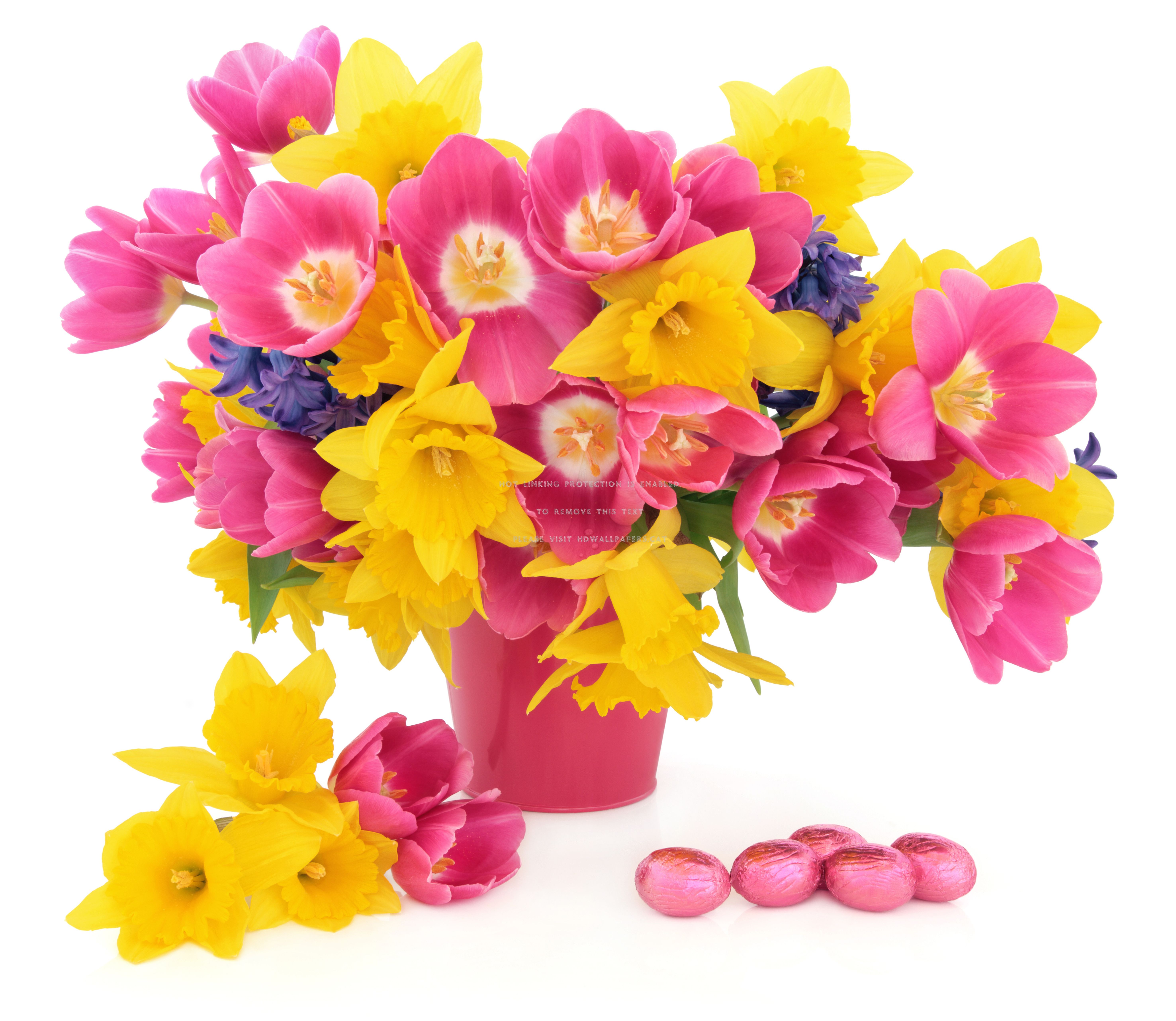 flowers spring narcissus yellow hyacinth