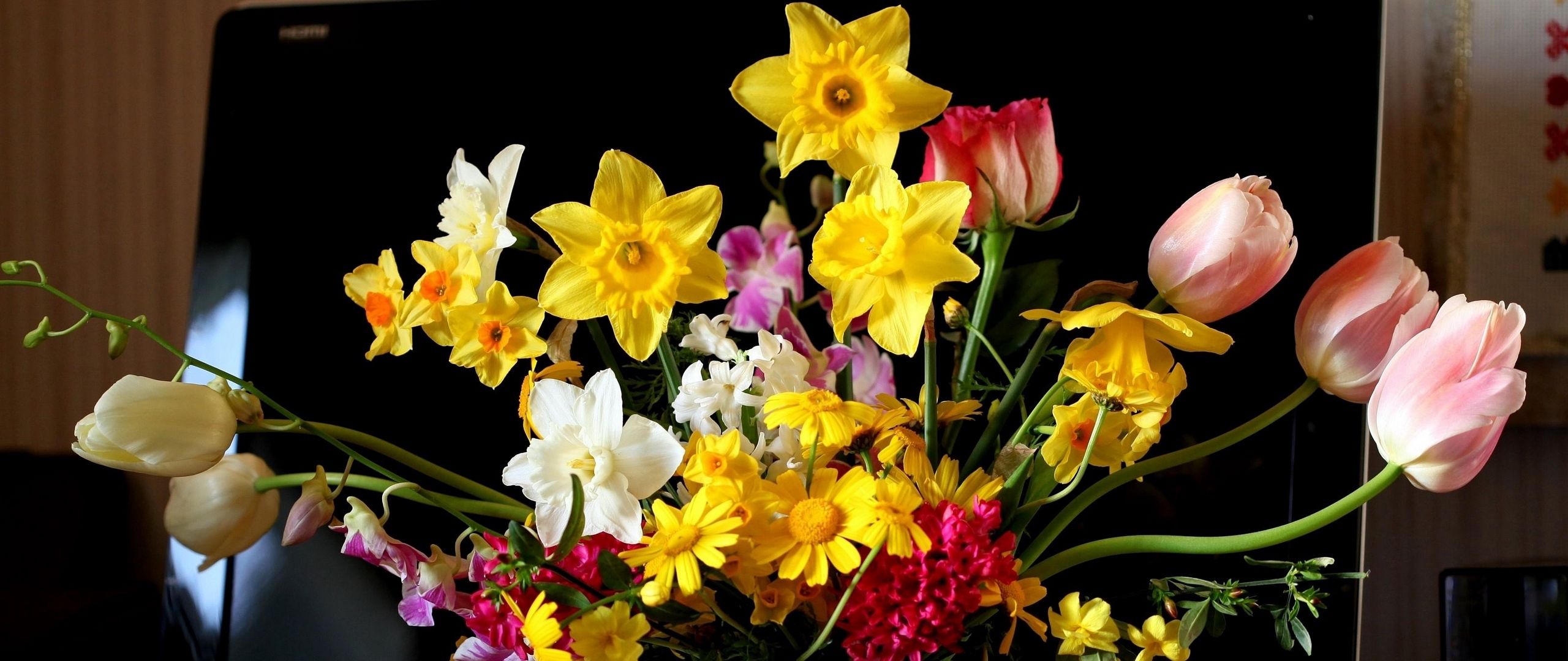 Download wallpaper 2560x1080 tulips, daffodils, hyacinths, flowers