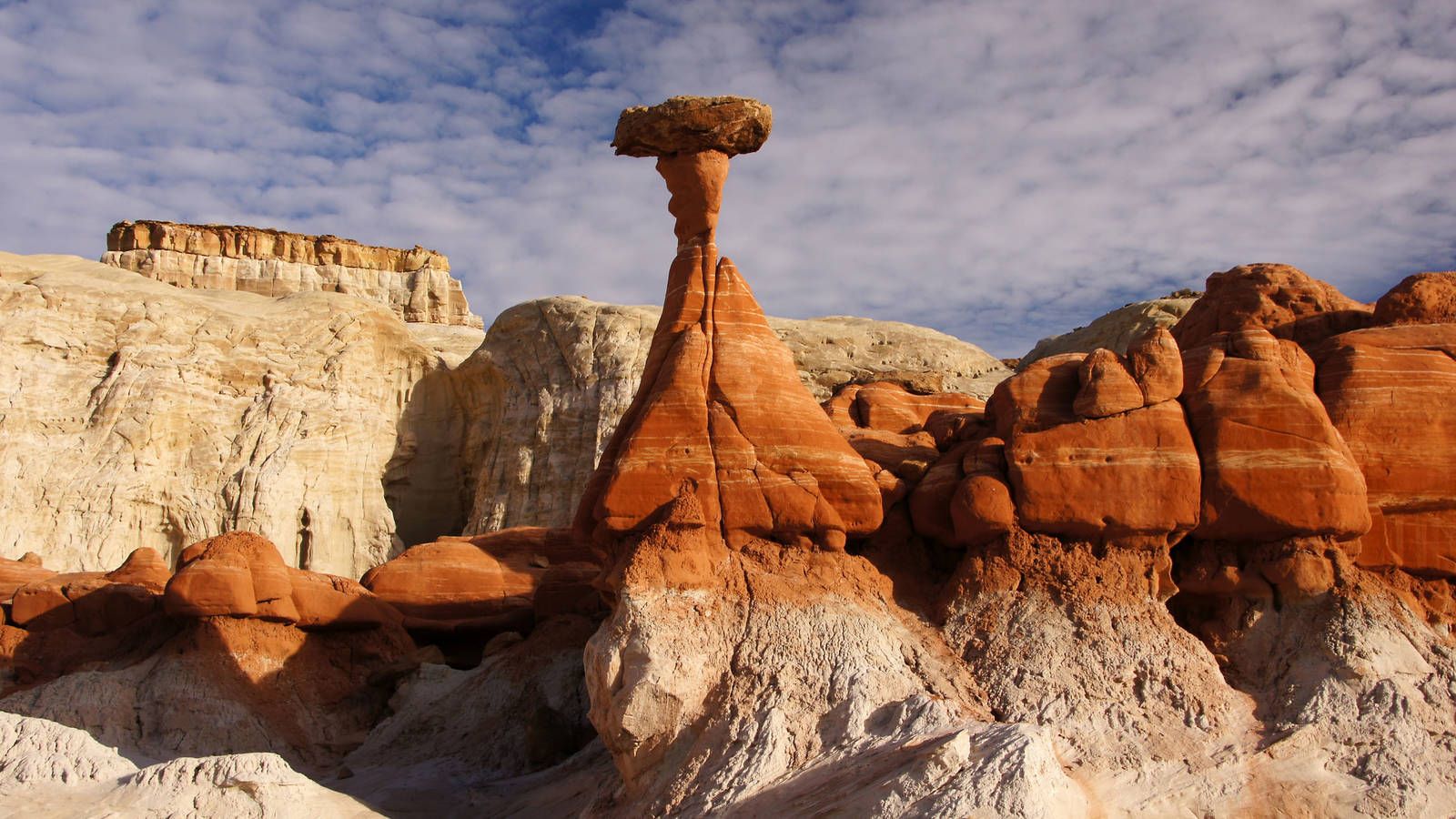 Parks Group Files Brief In Support Of Grand Staircase Escalante