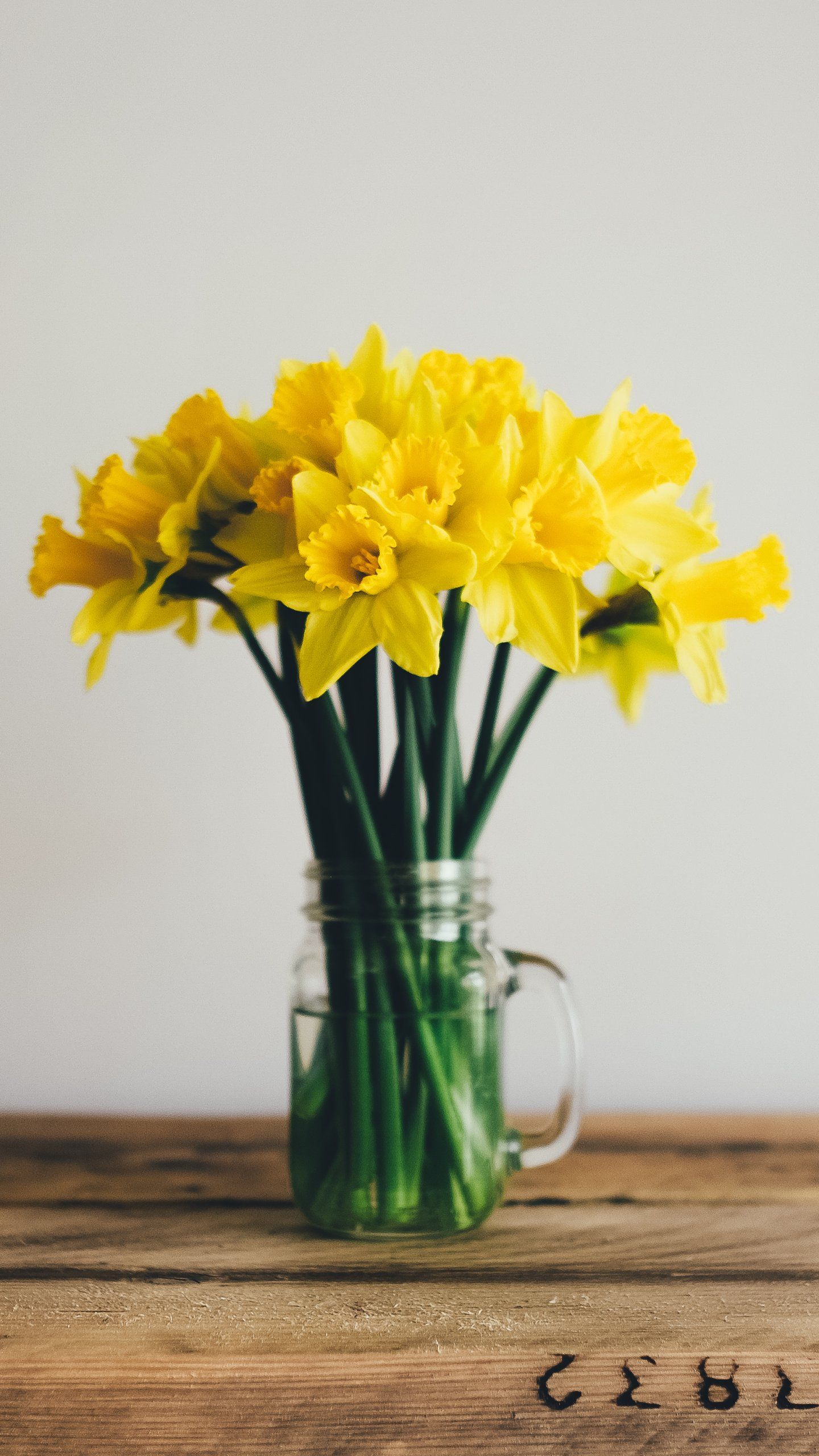 Daffodils Wallpaper, Android & Desktop Background. Flower arrangements diy, Daffodils, Flower wallpaper