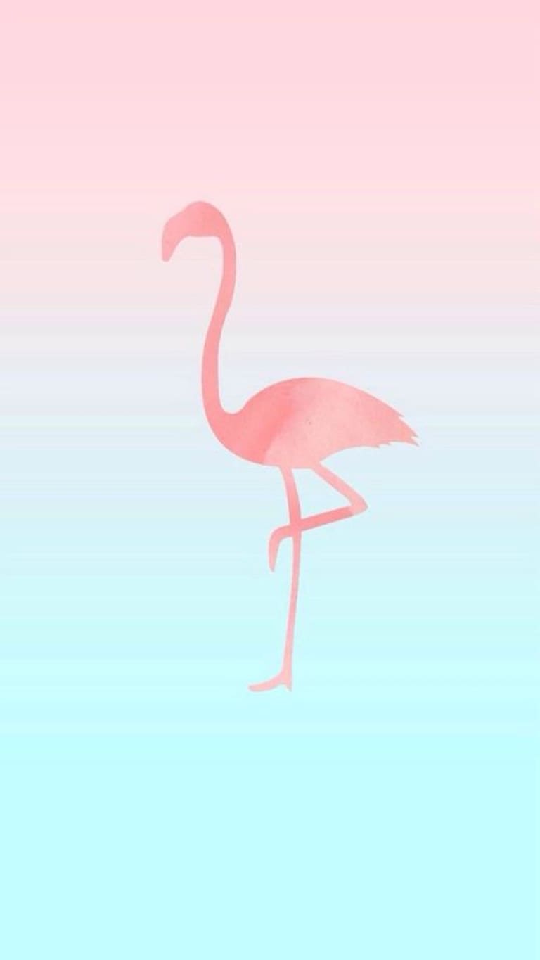 Flamingo Youtuber Wallpapers Wallpaper Cave