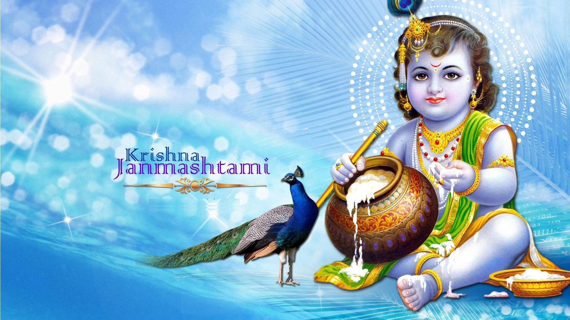 Lord Krishna Best Wallpaper 13092