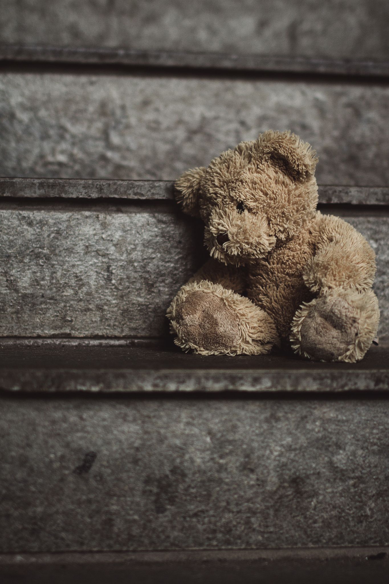 Lonely Teddy. Teddy bear wallpaper .com