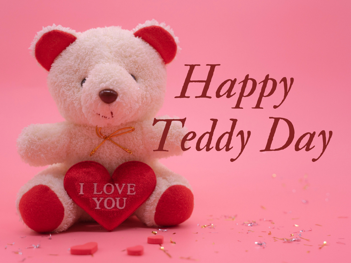 Valentine's Week: Happy Teddy Day 2020: Image, Quotes, Wishes