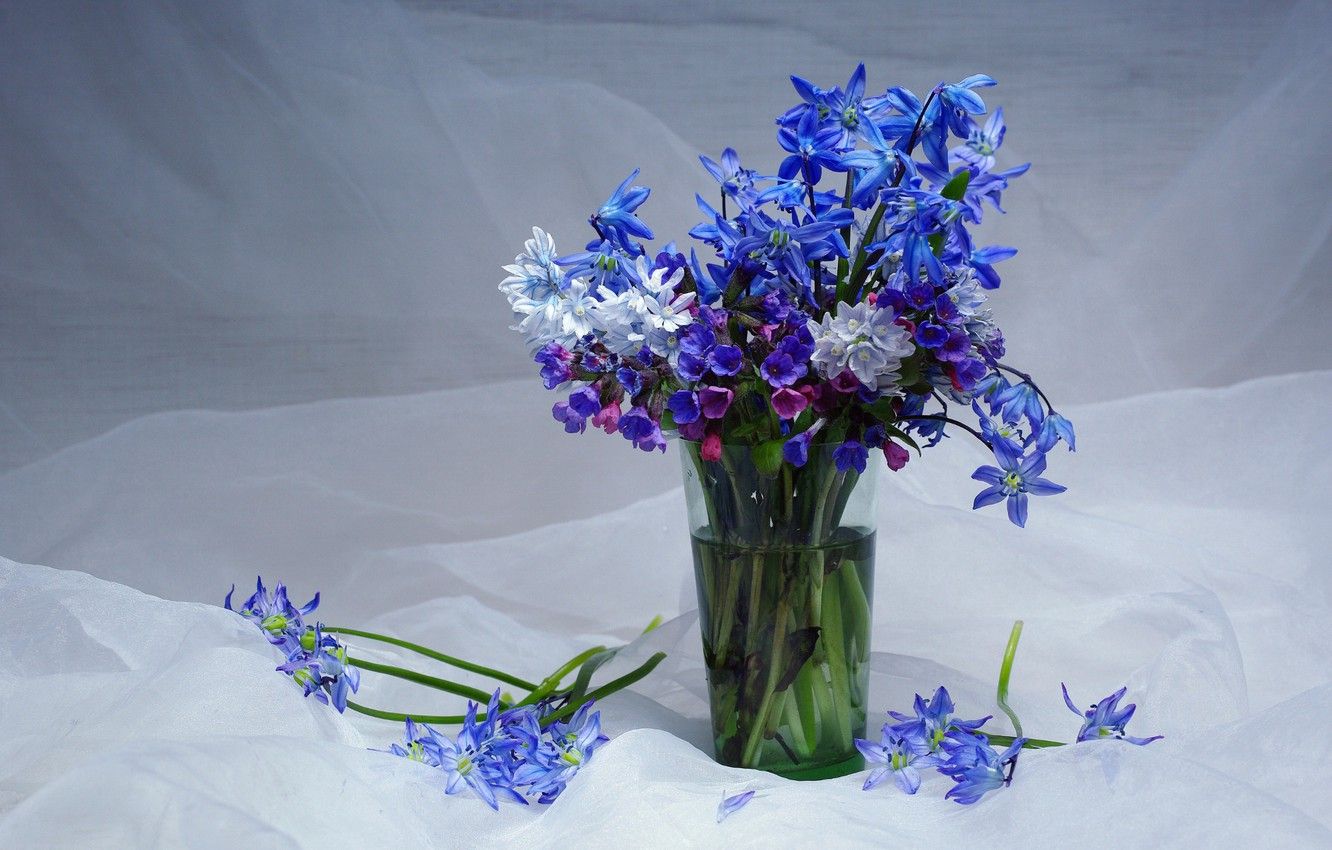 Wallpaper flowers, beauty, spring, snowdrops, may, primroses, a