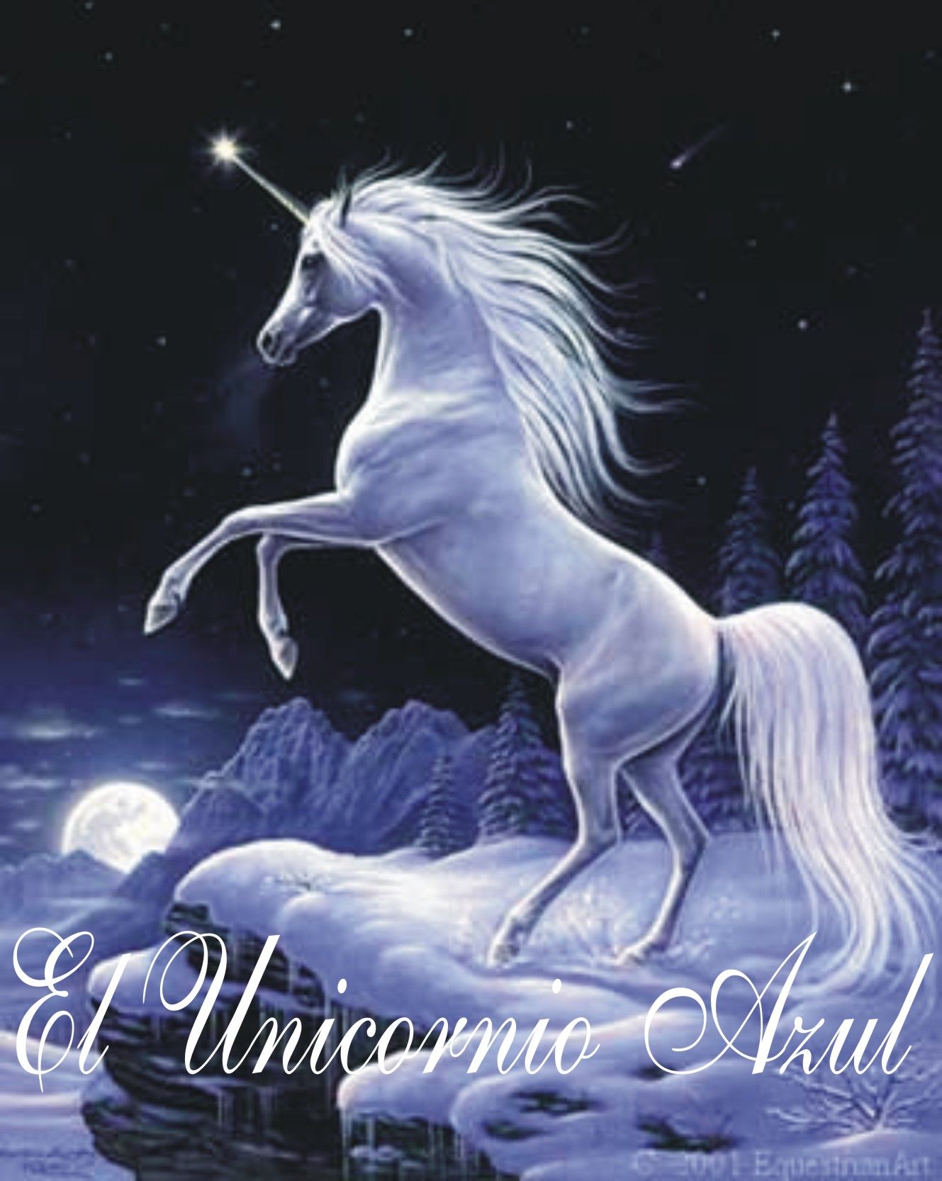 Free download Real Unicorn Wallpaper Related Keywords amp