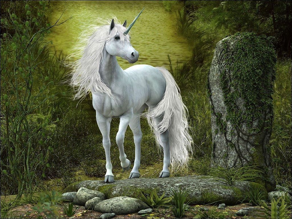 Real Unicorns Wallpapers Wallpaper Cave