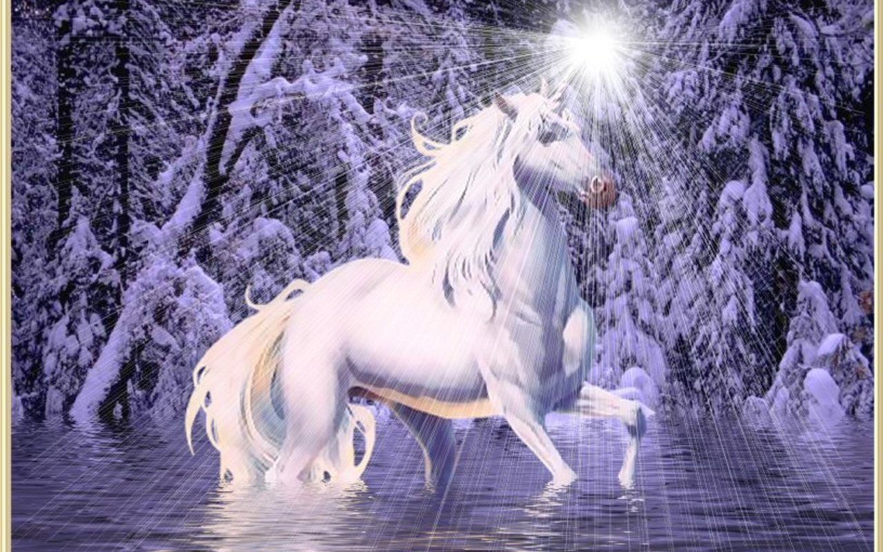 Unicorn and Fairy Desktop Wallpaper