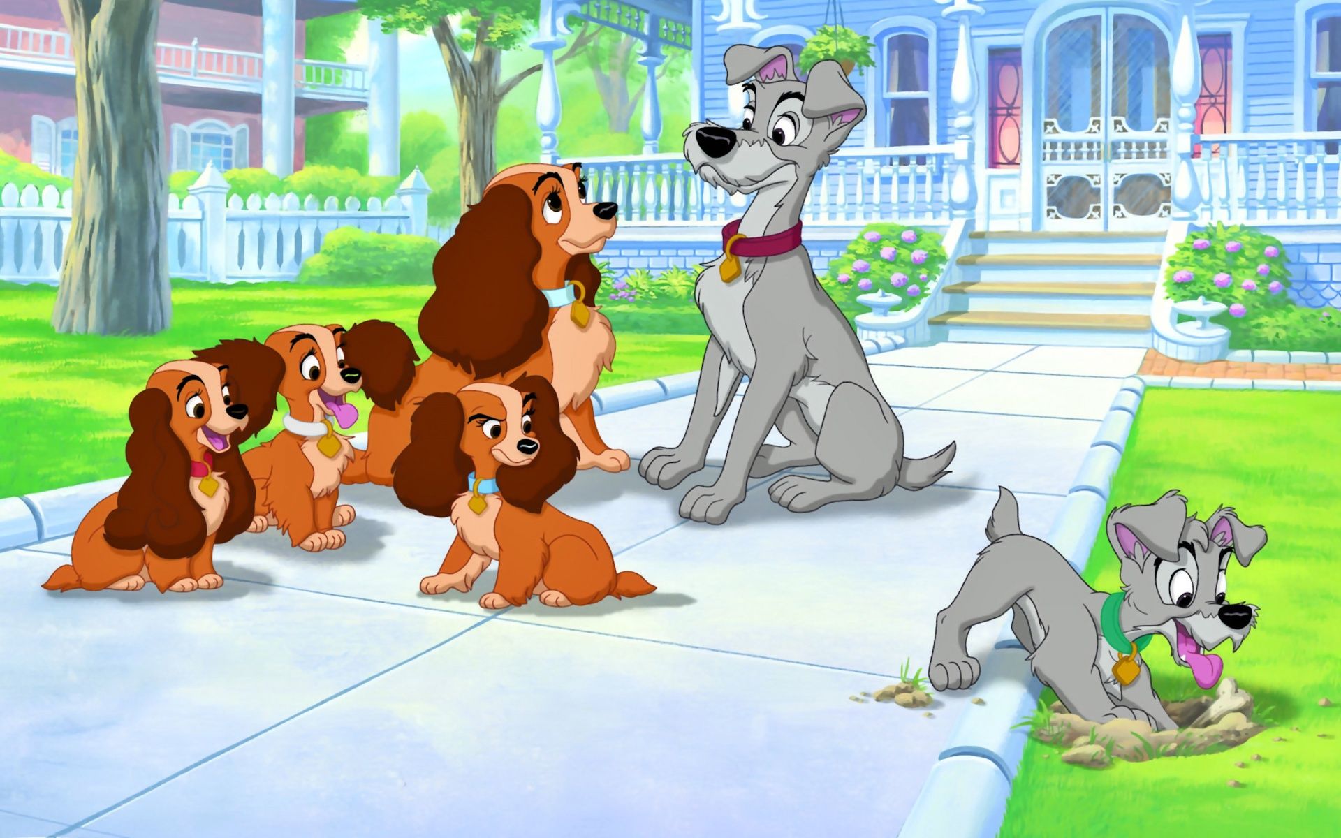 HD Lady and the Tramp Wallpaper