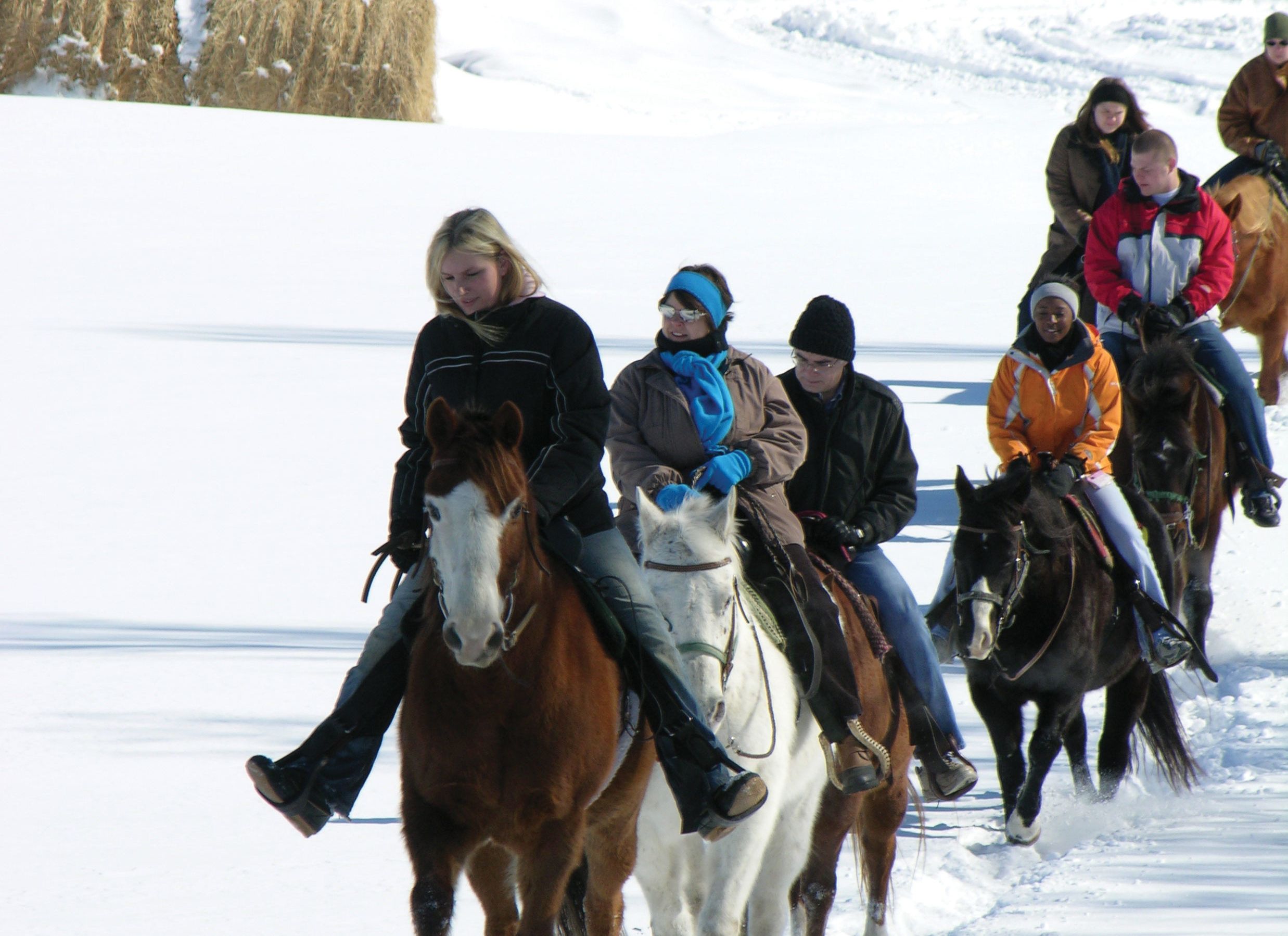 Horse Sense: Riding In Winter County Pulse