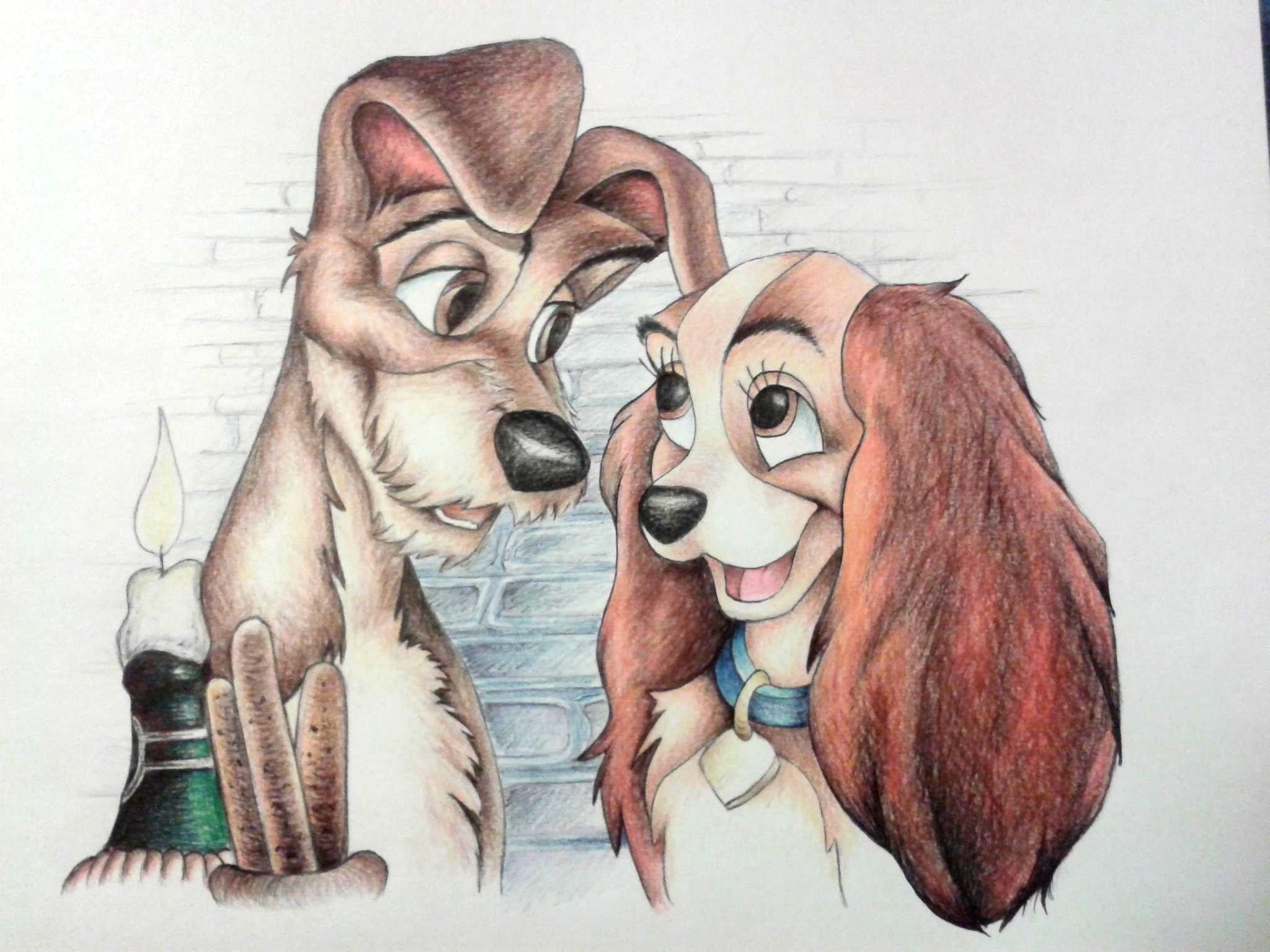 Lady and the tramp HD wallpaper free download