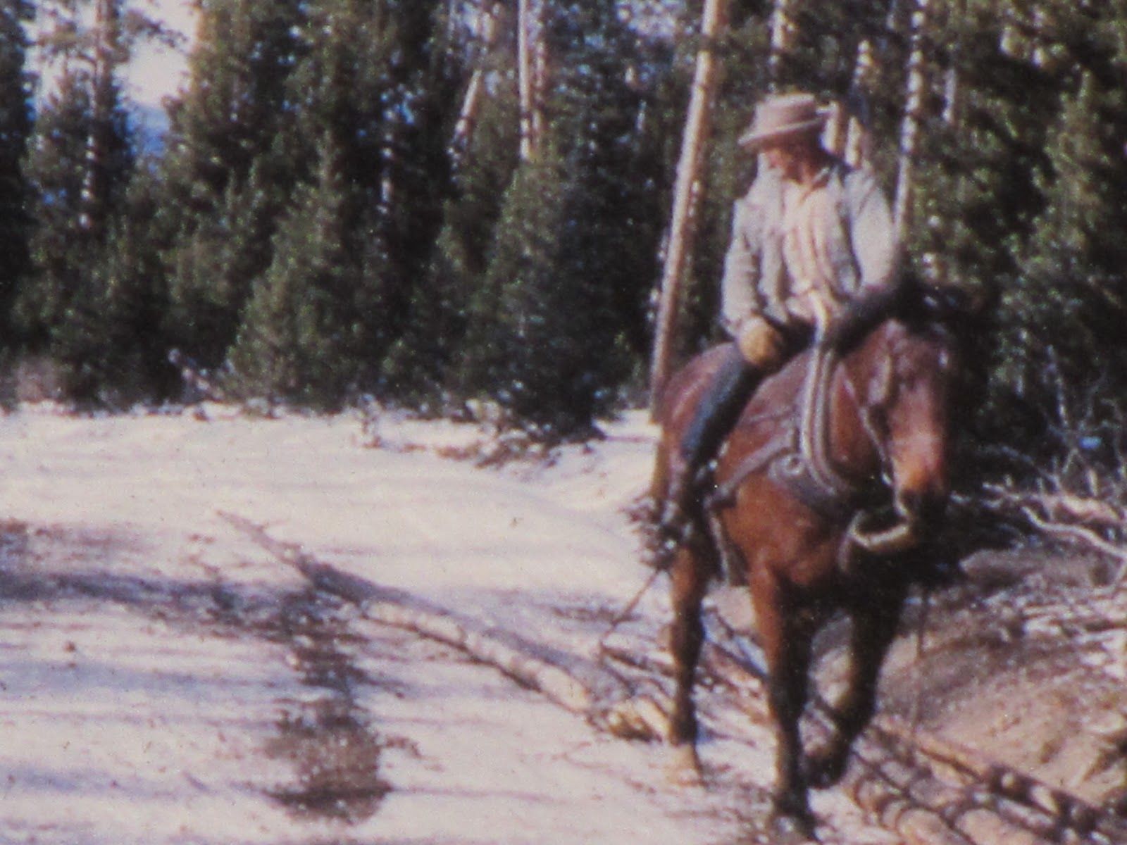 Heather Smith Thomas: Notes from Sky Range Ranch