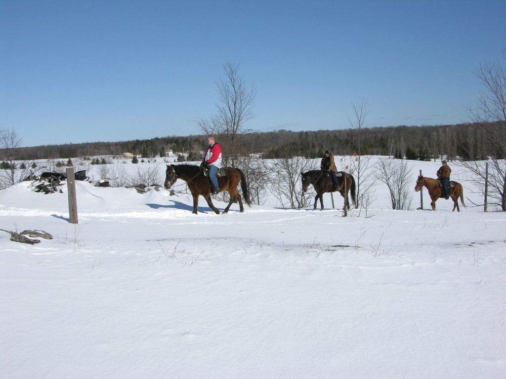Horse Sense: Riding In Winter County Pulse