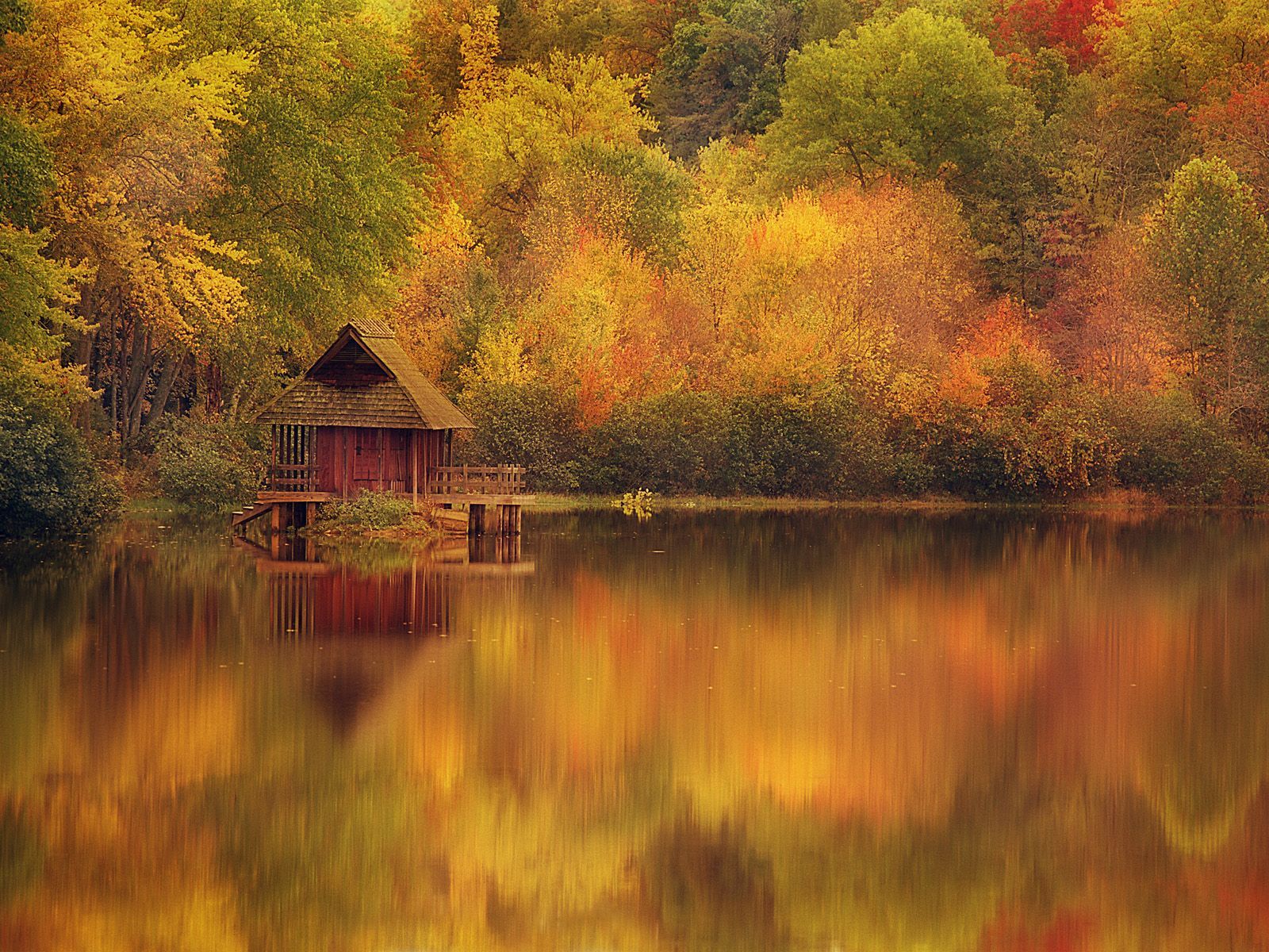 Wooden Cabin on Lake in Autumn