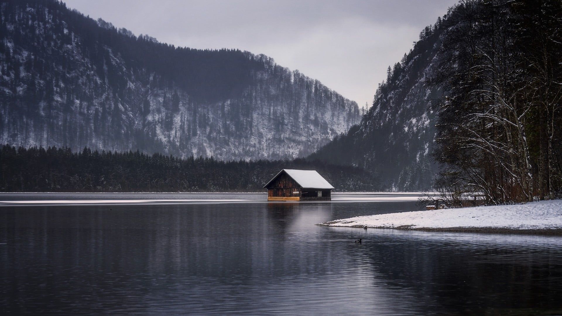 Landscape photo of cabin, landscape, nature, cottage, lake HD
