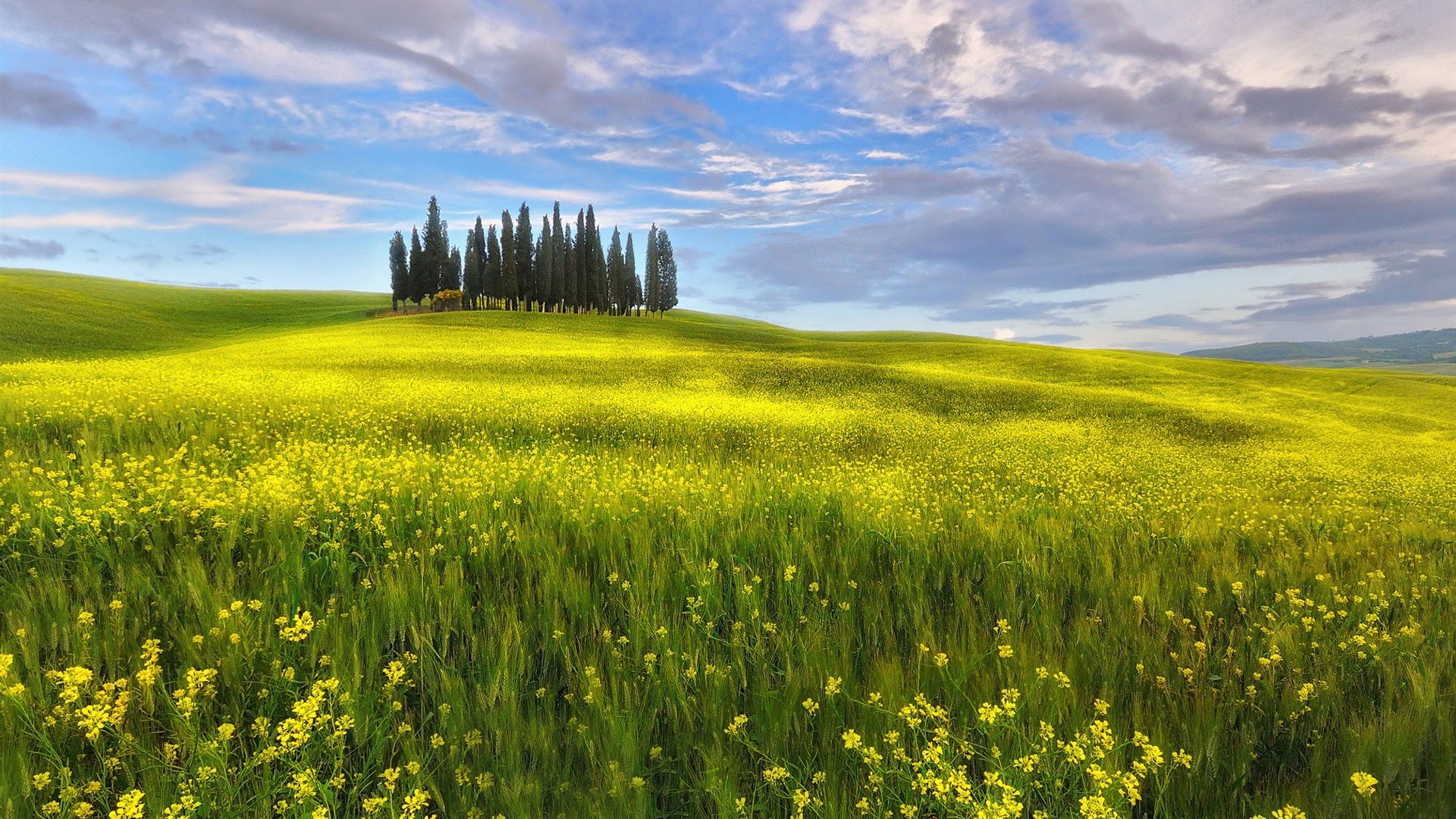 Spring Fields Wallpapers - Wallpaper Cave