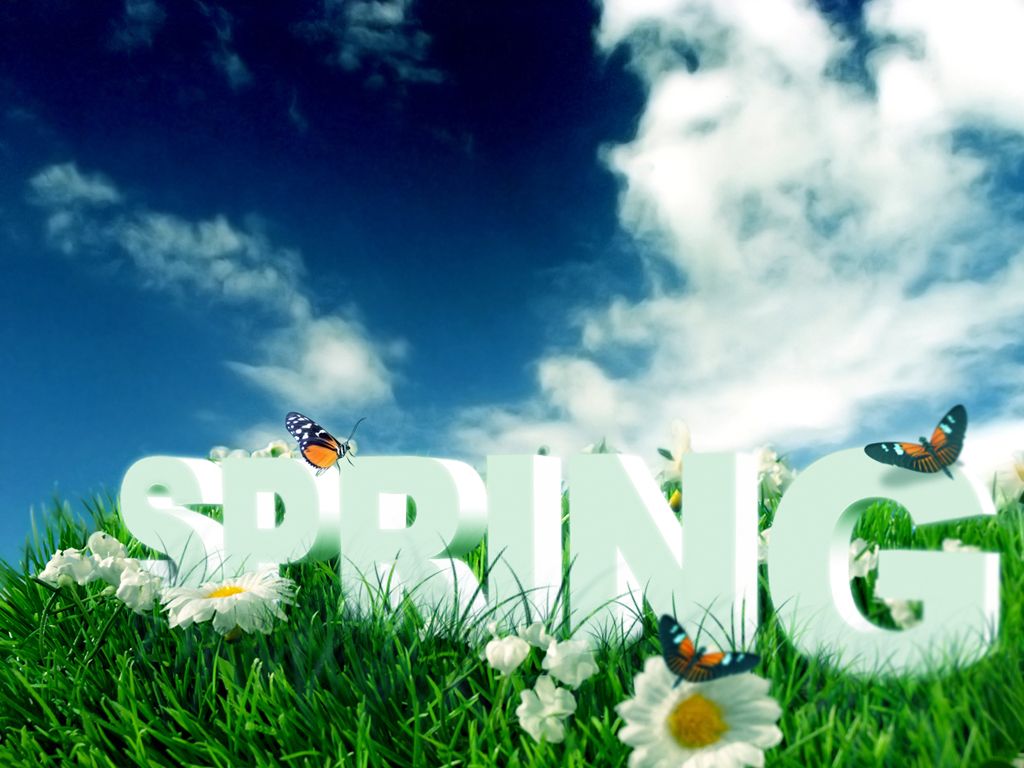 Free download Spring Flowers Desktop Background HD Wallpaper