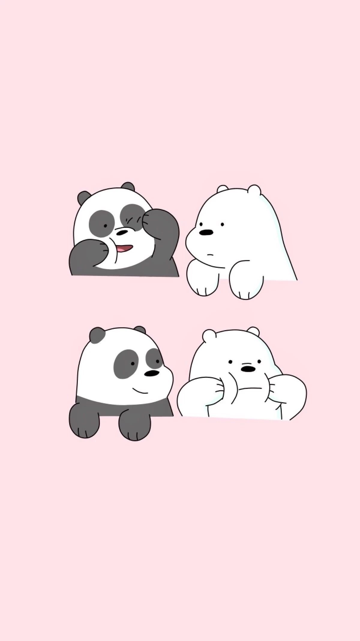 Panda bear bears cute cute panda HD phone wallpaper  Peakpx