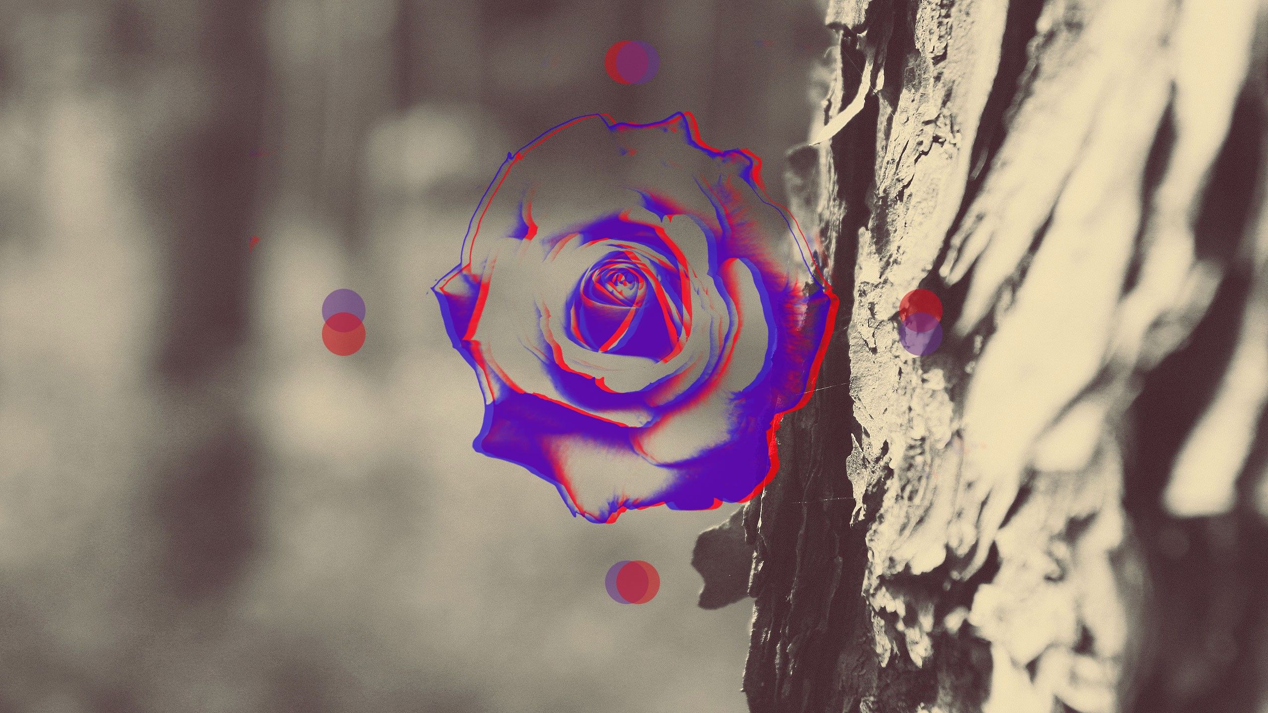 Abstract, Anaglyph 3D, Rose Wallpaper HD / Desktop