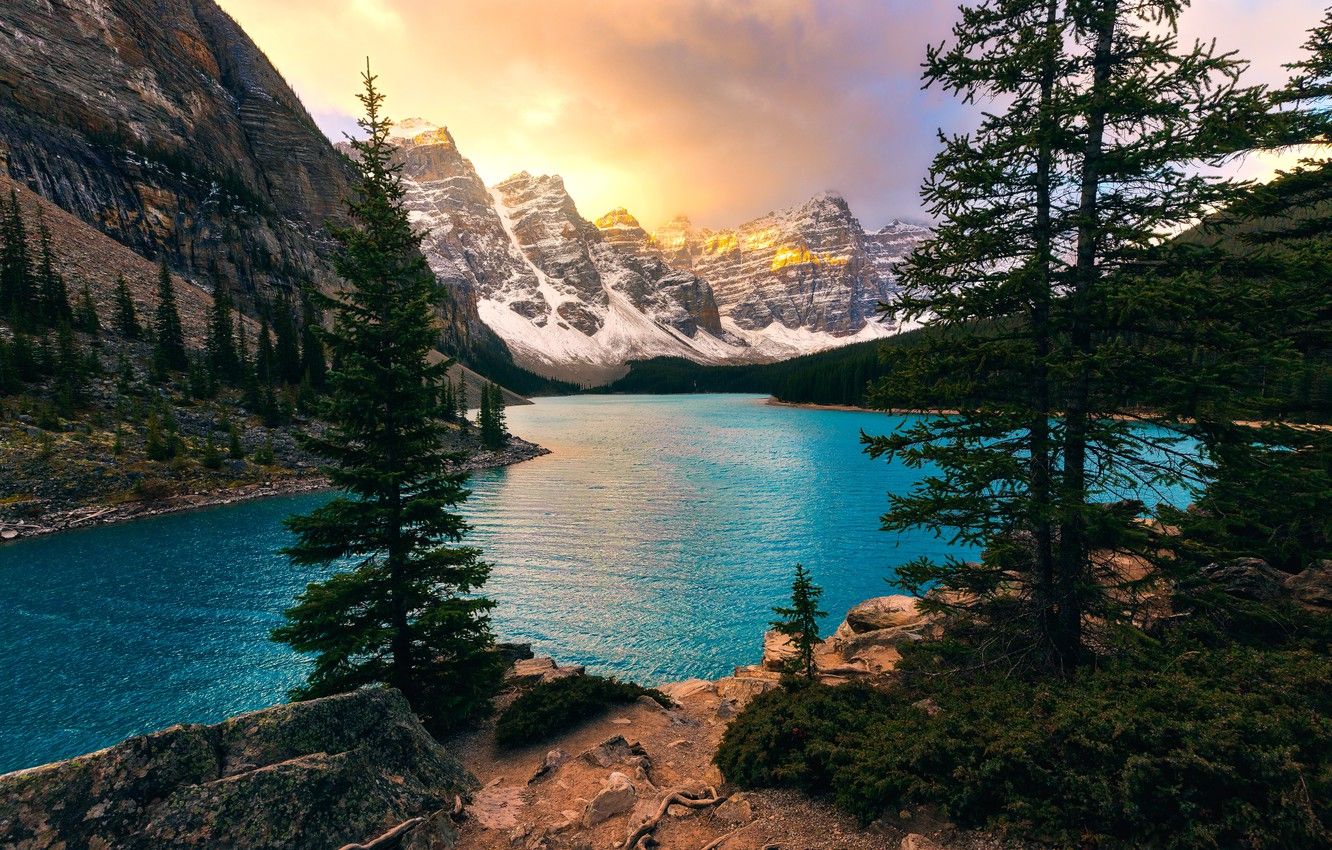 Wallpaper trees, mountains, lake, ate, Canada, Albert, Banff