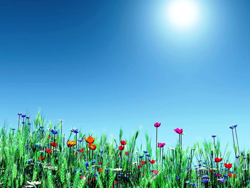 Free Desktop Background For Spring Flowers. The Athol Recreation Centre