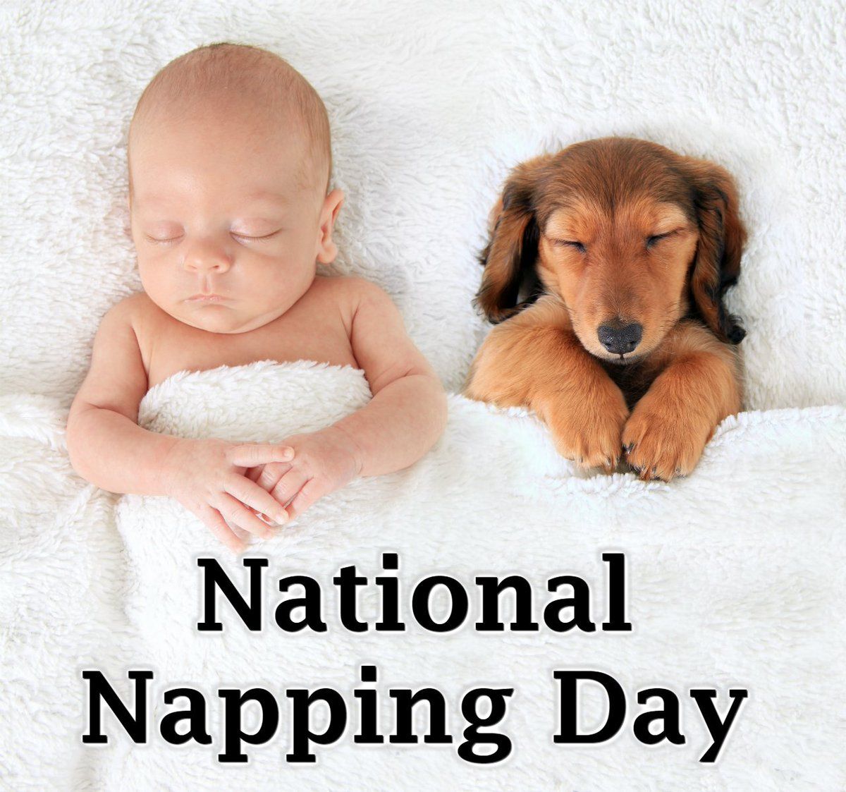Dress National Nap Day