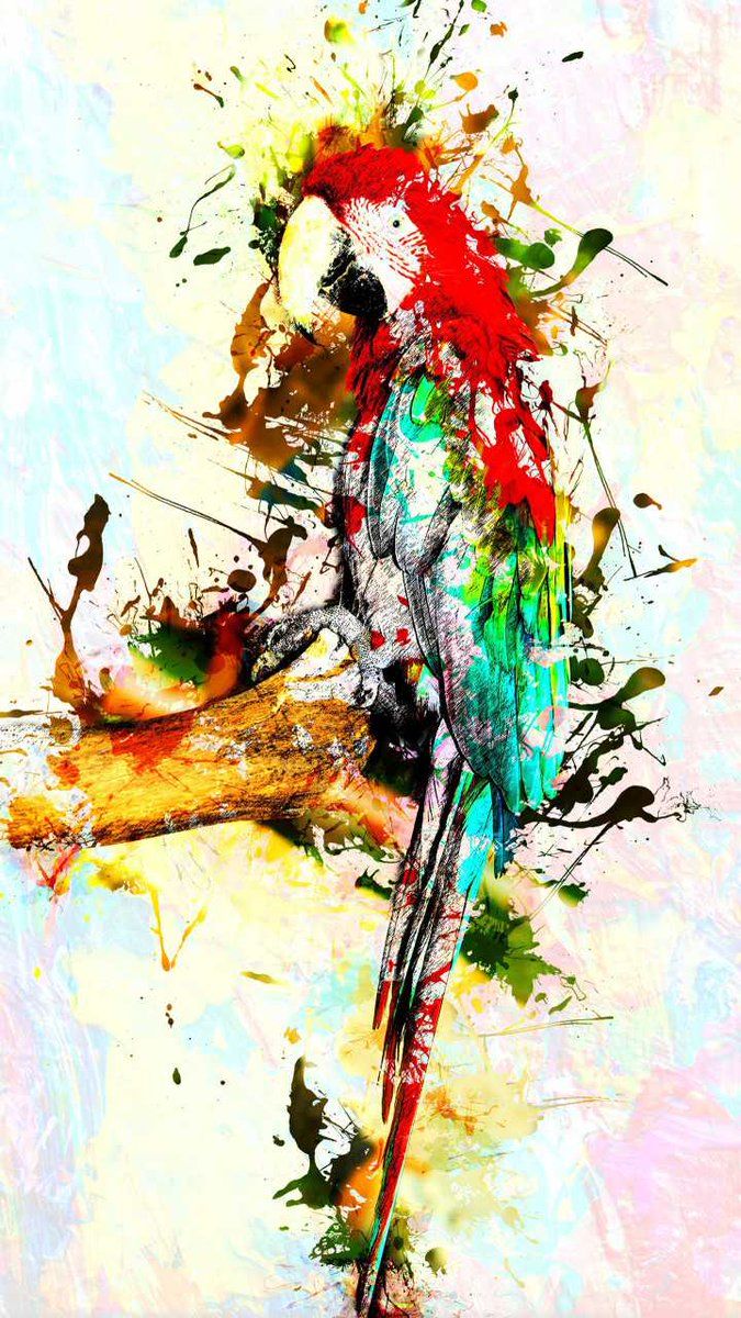 Colorful Bird Art Wallpapers - Wallpaper Cave