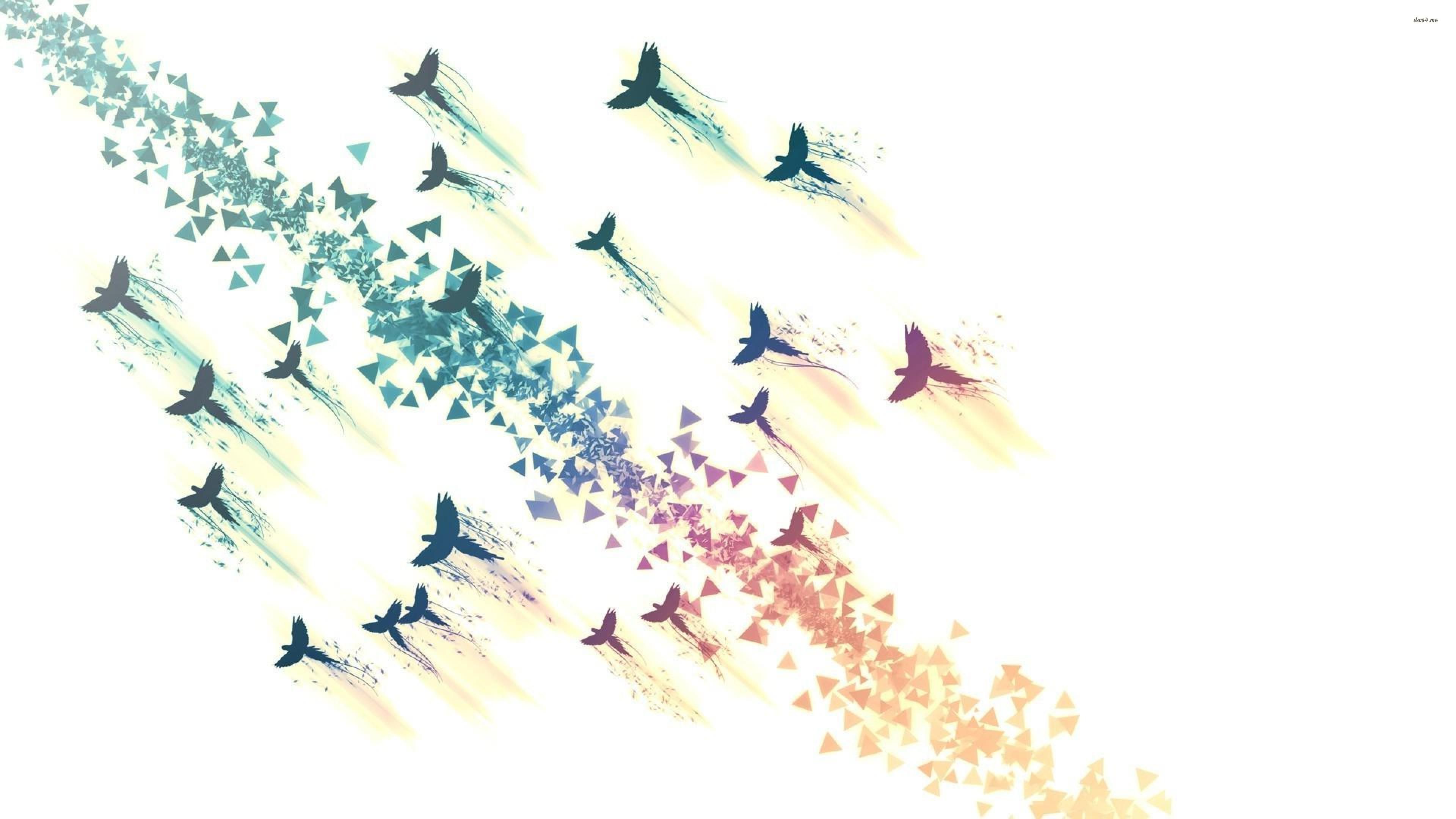 Colorful flying birds wallpaper Art wallpaper