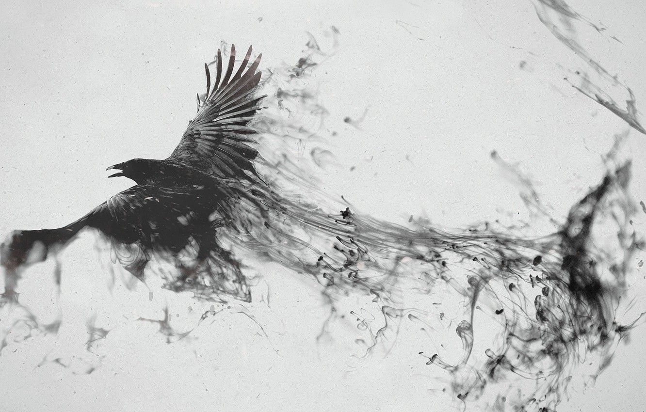 Wallpaper abstract, black, flying, bird, raven, art, abstraction