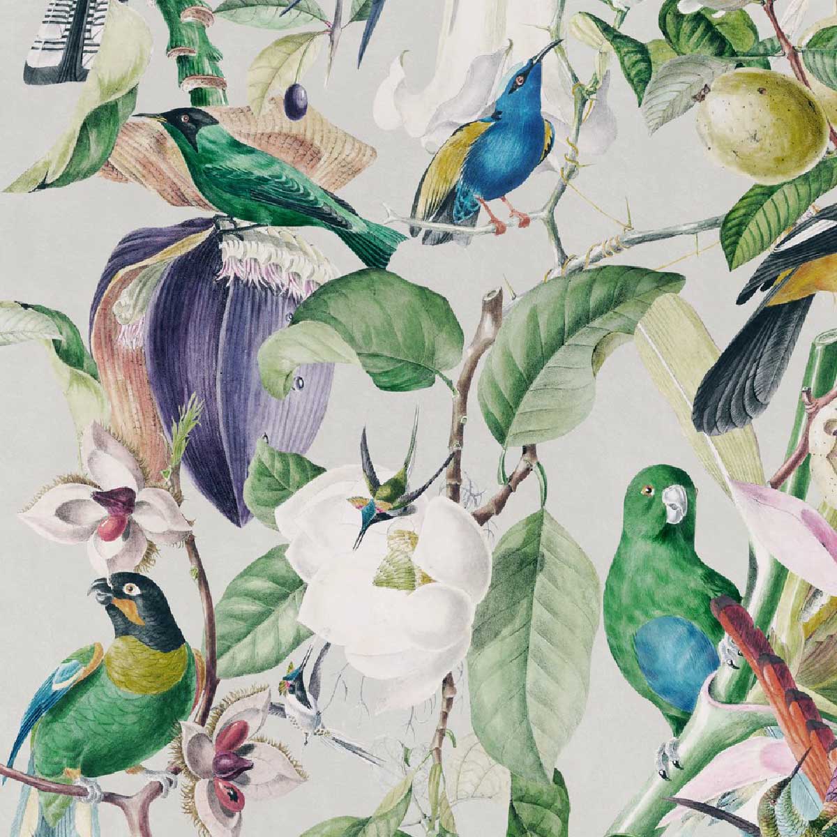 Tropical Birds Wallpaper