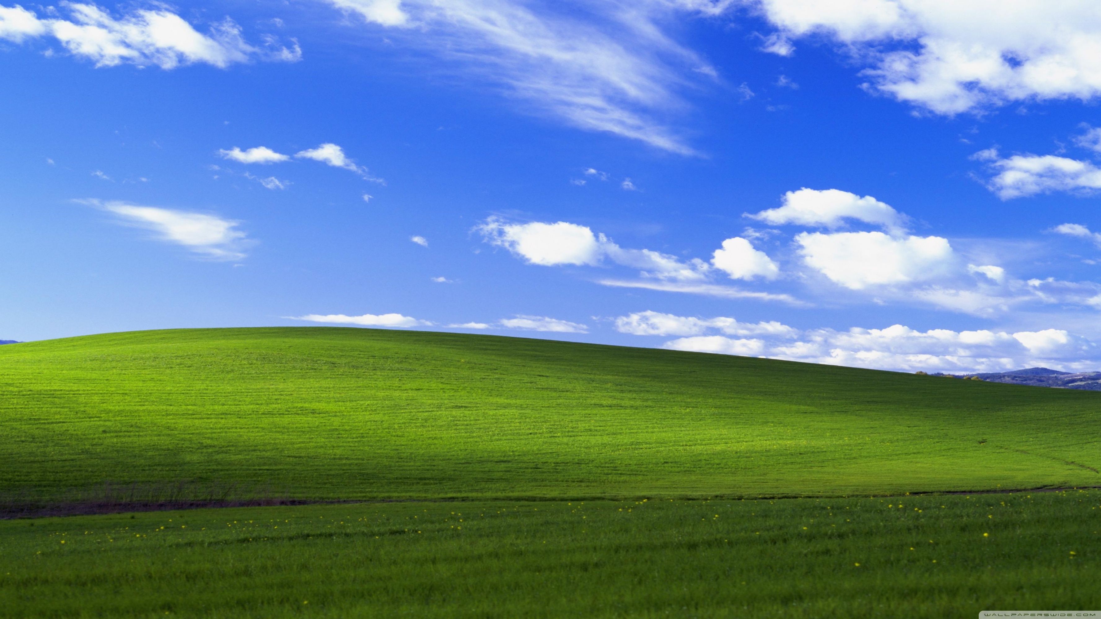 Windows XP Ultra HD Desktop Background Wallpaper for 4K UHD TV, Widescreen & UltraWide Desktop & Laptop, Tablet
