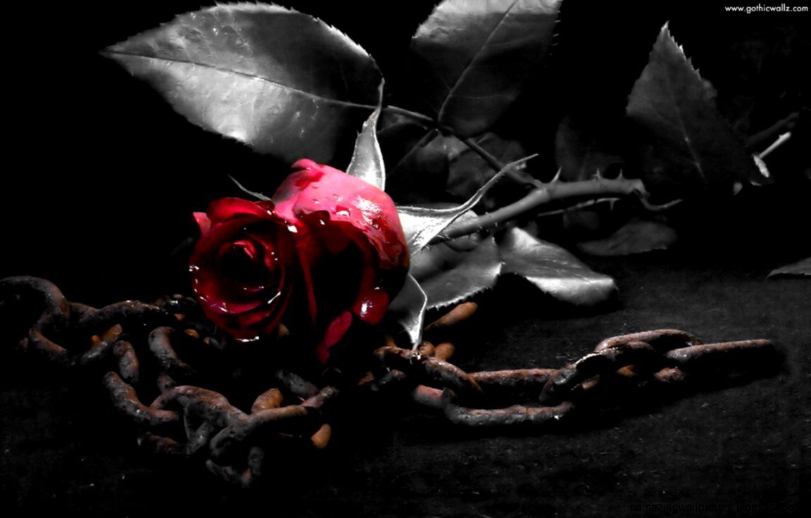 Dark Roses And Hearts Wallpaper