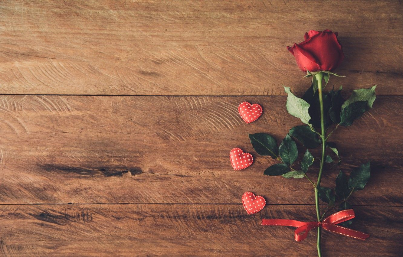 Wallpaper love, heart, rose, red, love, rose, flower, wood