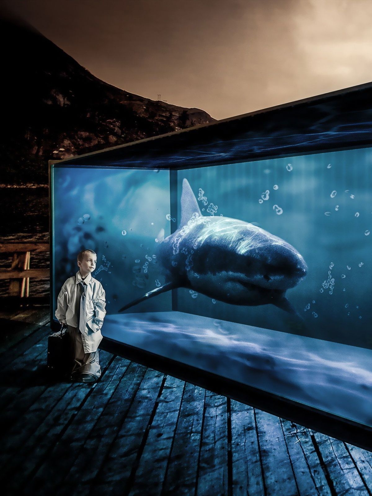 Surreal Shark Tank Little Boy Android Wallpaper free download