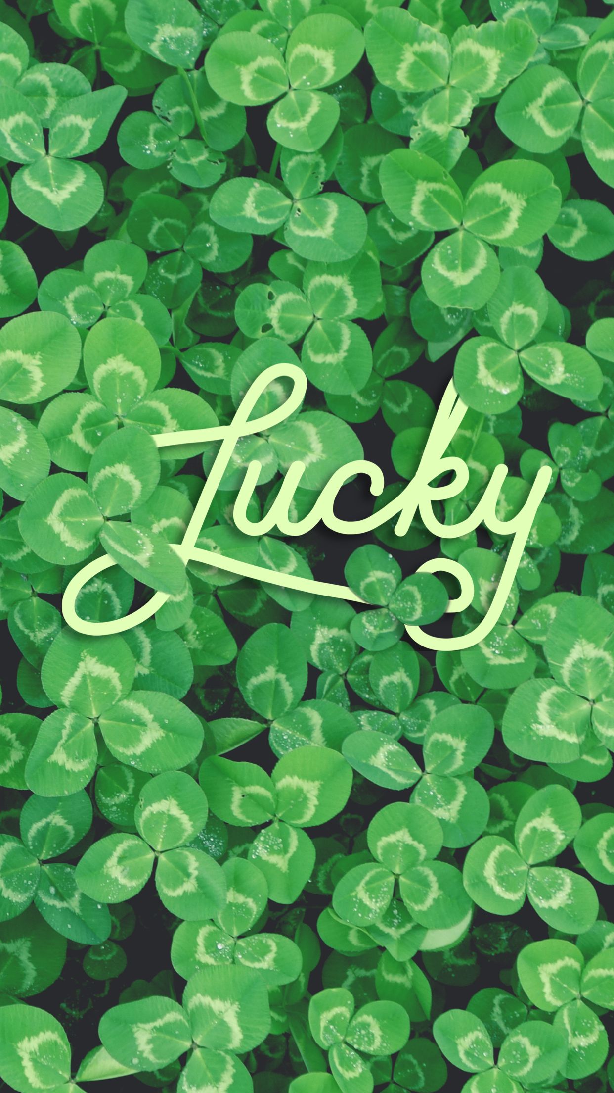 Lucky clover St. Patrick's Day phone wallpapers Lynn Meadows