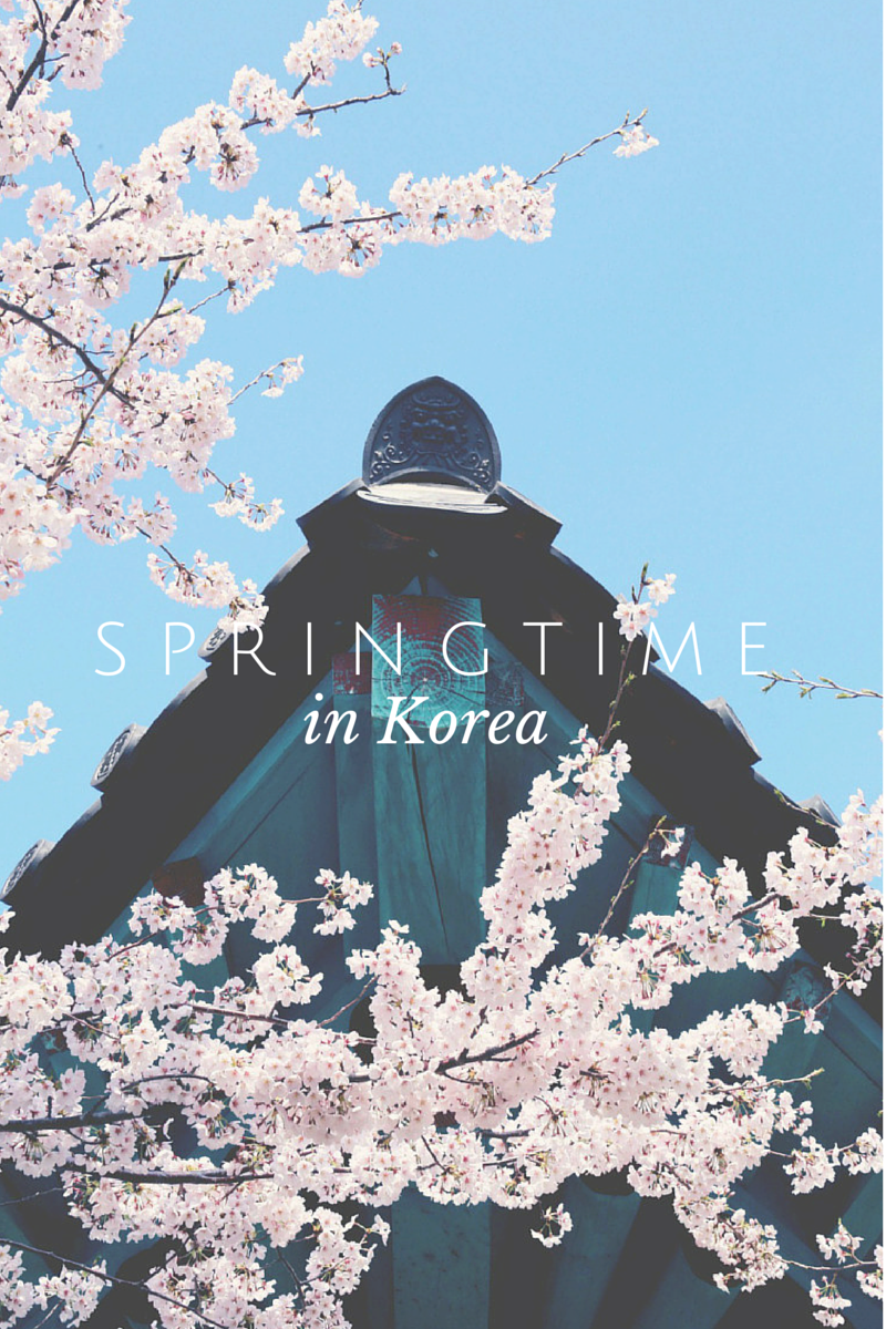 It's Springtime!. Korea wallpaper, South korea seoul, South korea