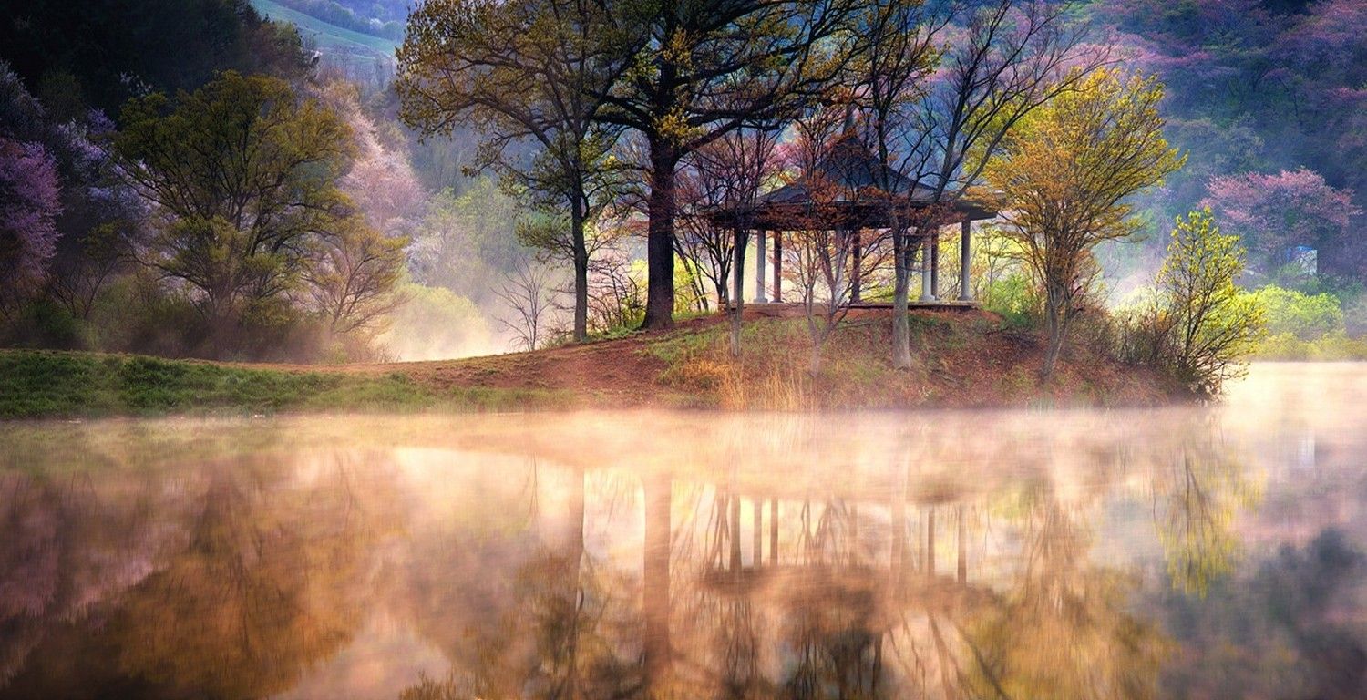 lake, Sunrise, Mist, Reflection, Spring, Trees, Water, Nature