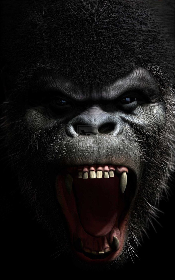angry giant gorilla