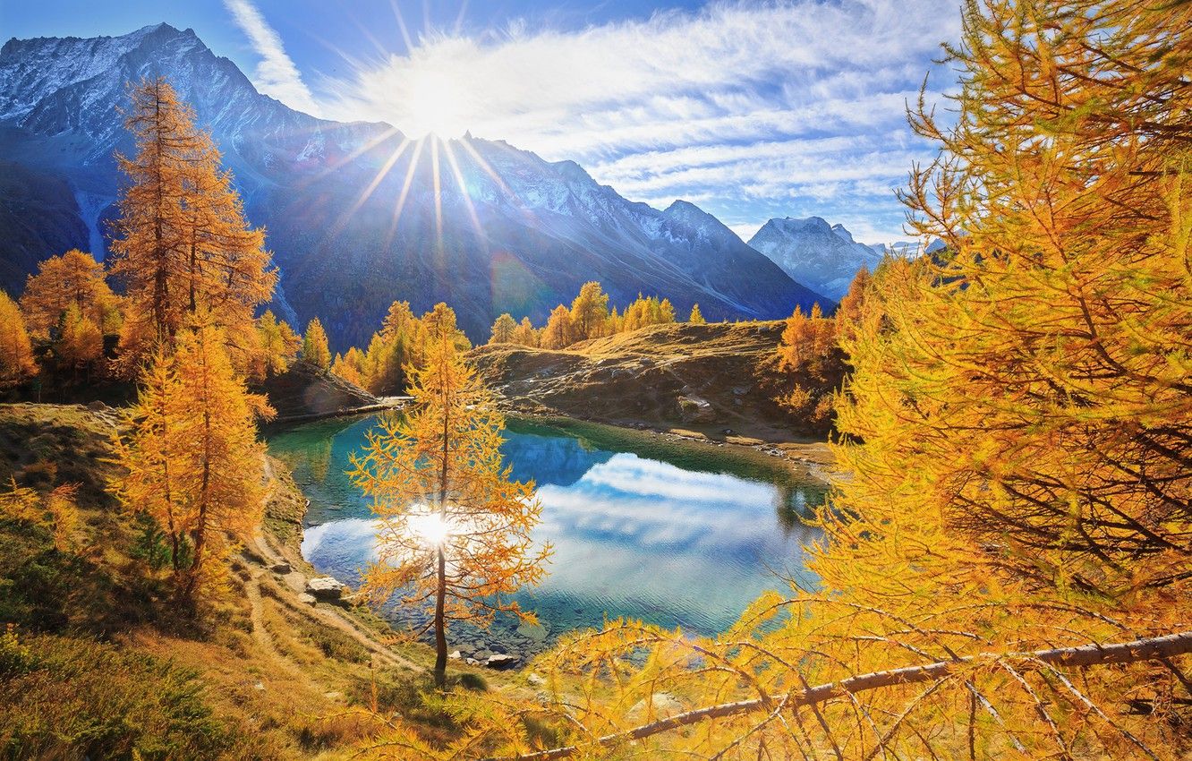 Wallpaper trees, mountains, lake, sunrise, dawn, Switzerland, Alps