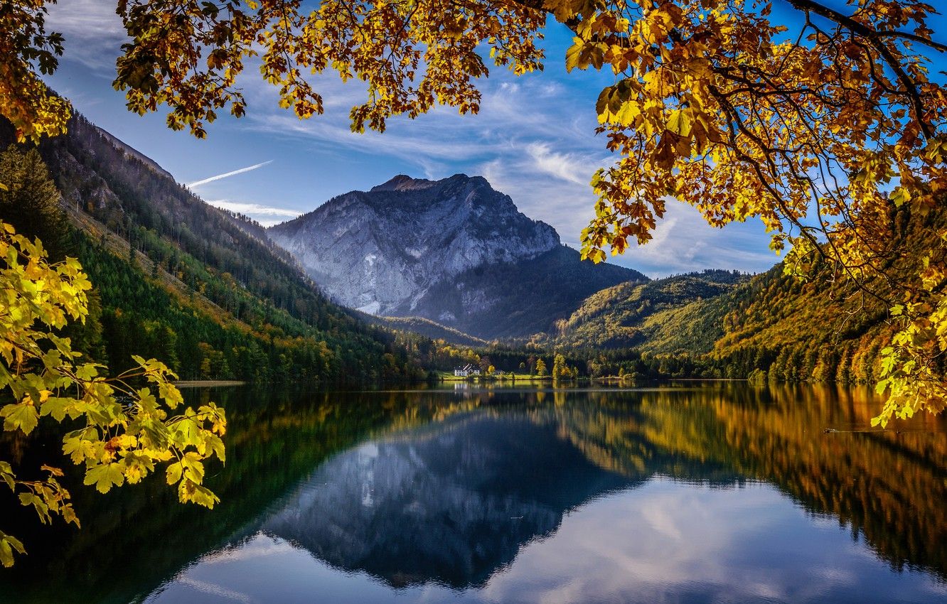 Wallpaper autumn, mountains, branches, lake, reflection, Austria