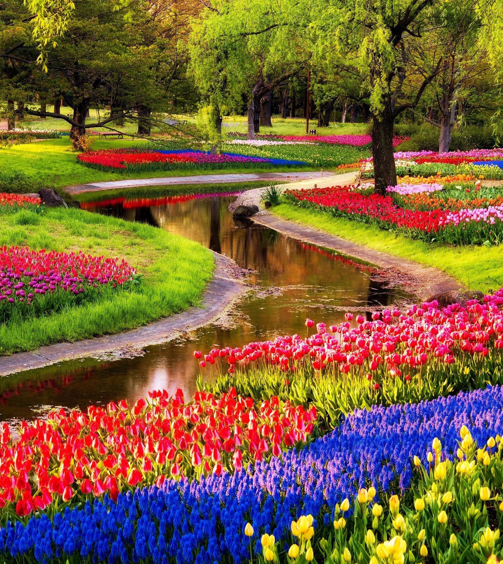 Reasons to visit the Netherlands in Spring!