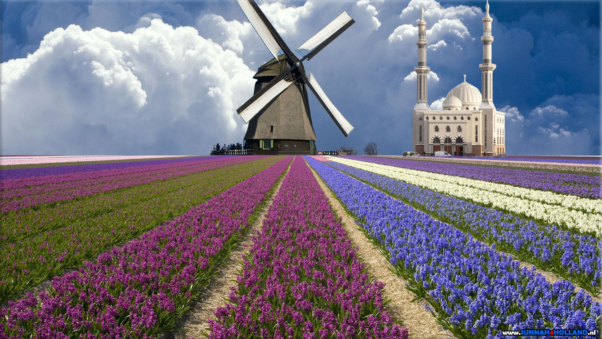 Dutch Mosque With Tulips And A Windmill (molen)